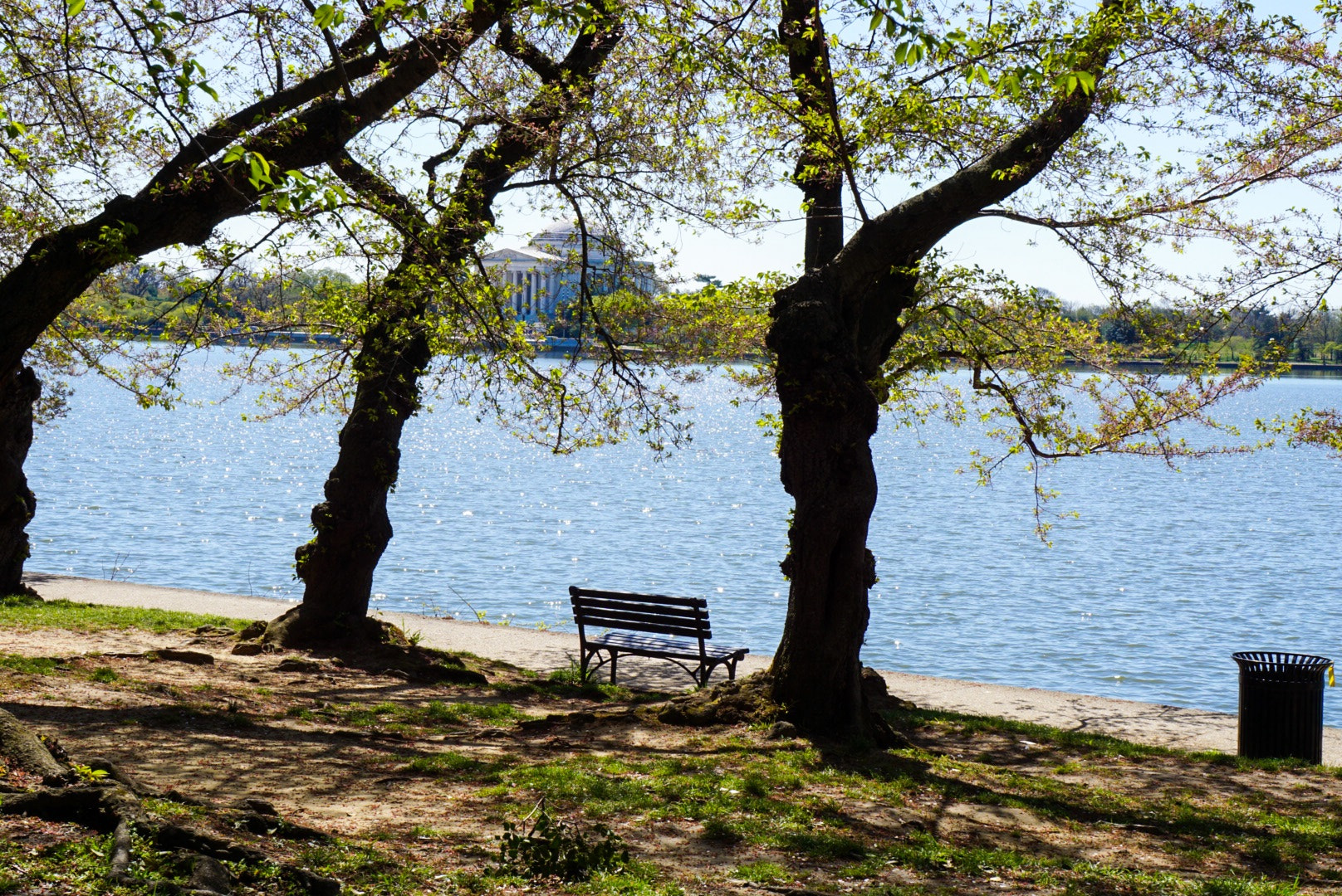 Sony a5100 + Sony E 18-55mm F3.5-5.6 OSS sample photo. Spring view in washington, d.c. photography