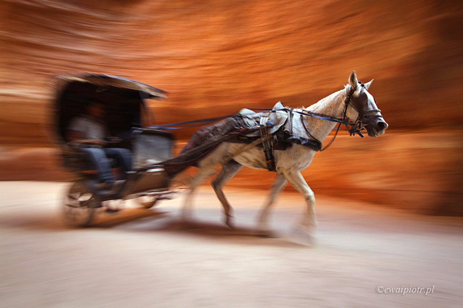 Canon EF-S 10-18mm F4.5–5.6 IS STM sample photo. In labirynth of siq ii photography