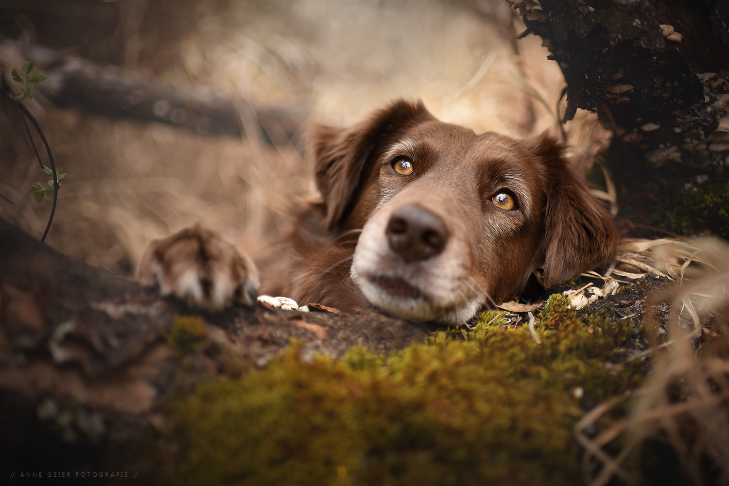 Nikon D750 + AF-S Nikkor 35mm f/1.8G sample photo. .finn. photography