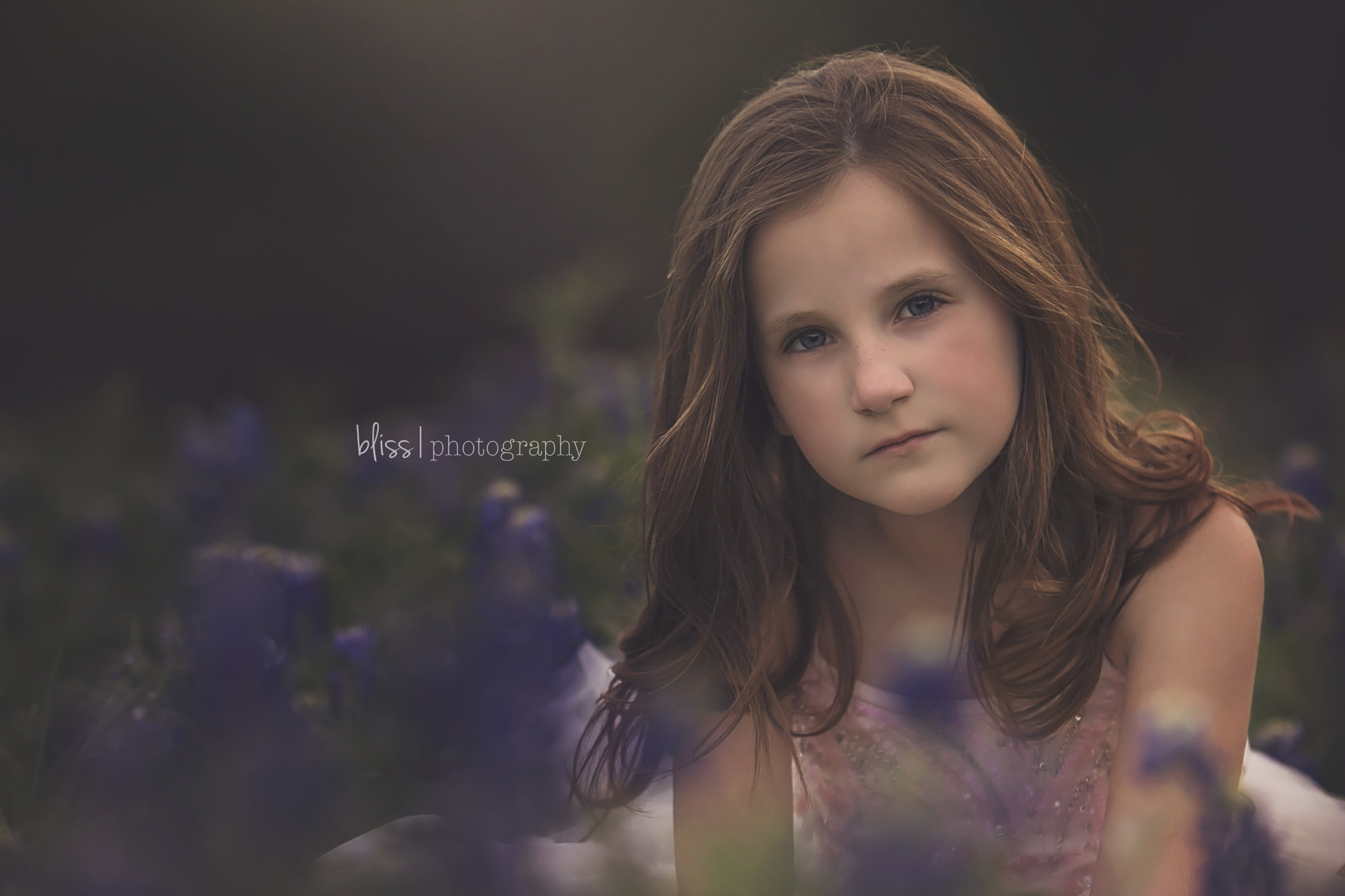 Nikon AF-S Nikkor 200mm F2G ED VR II sample photo. Matte'd flower photo photography