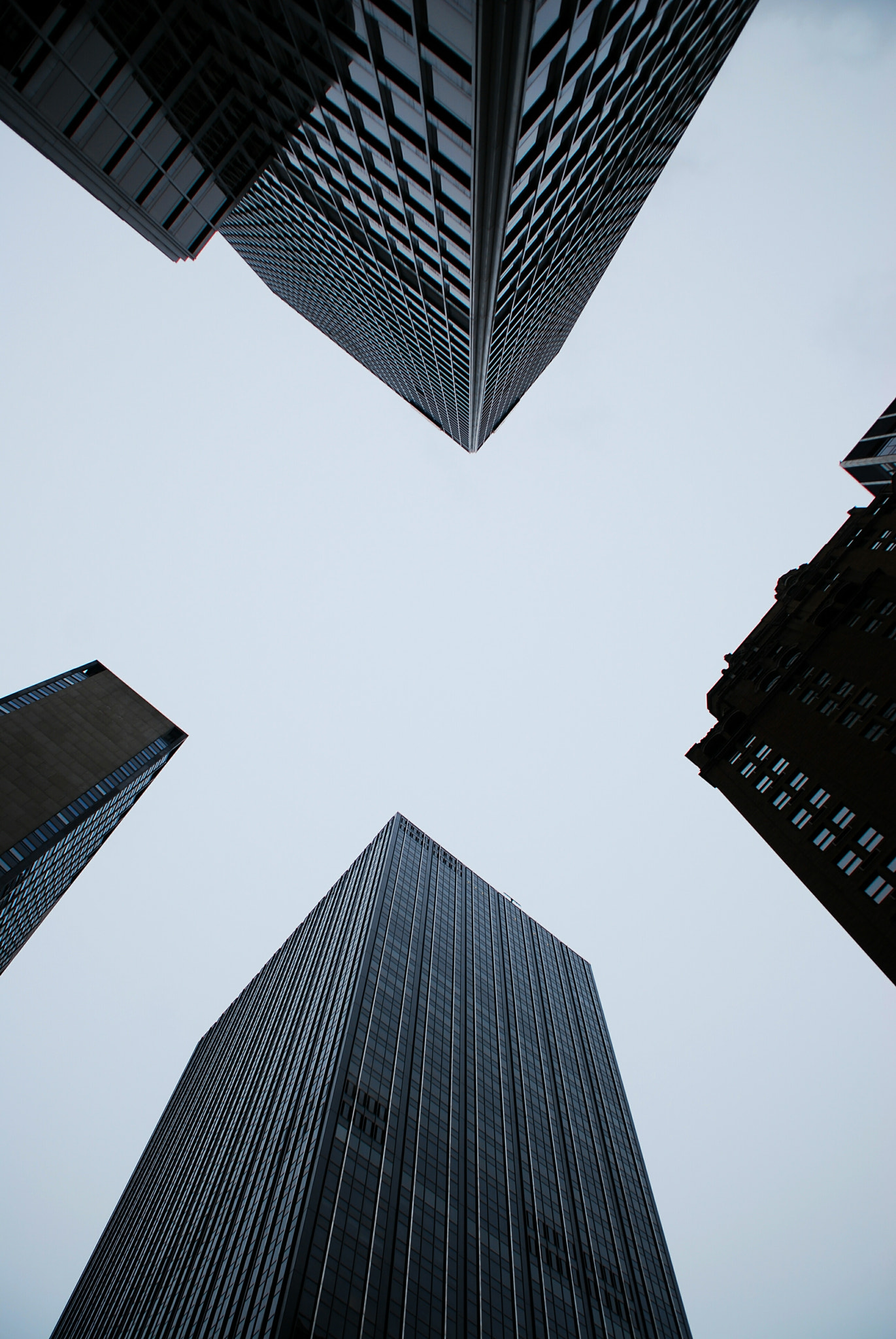 Nikon D40X sample photo. Skyward photography