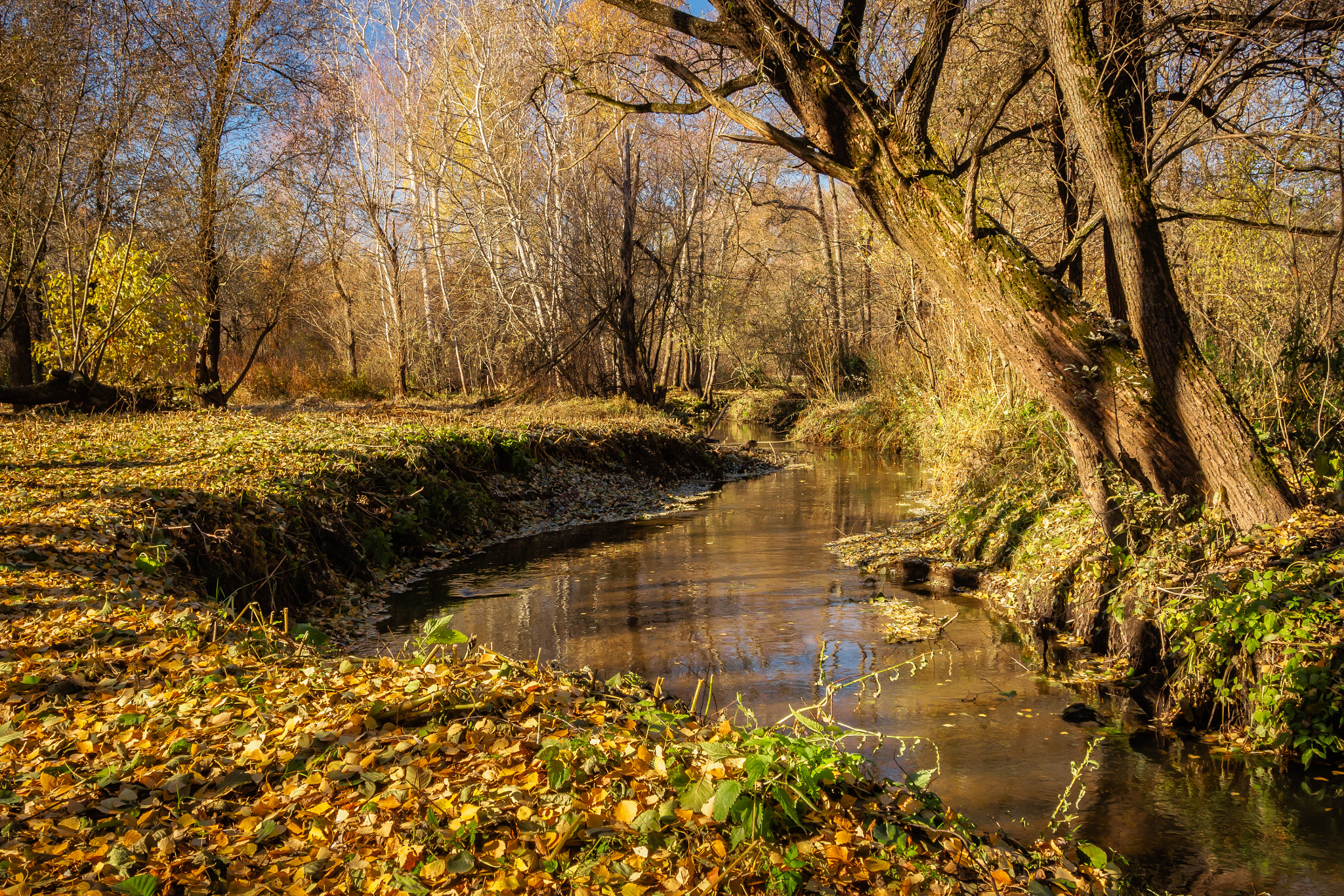 Olympus OM-D E-M10 + OLYMPUS M.12-50mm F3.5-6.3 sample photo. Autumn evening on the river photography