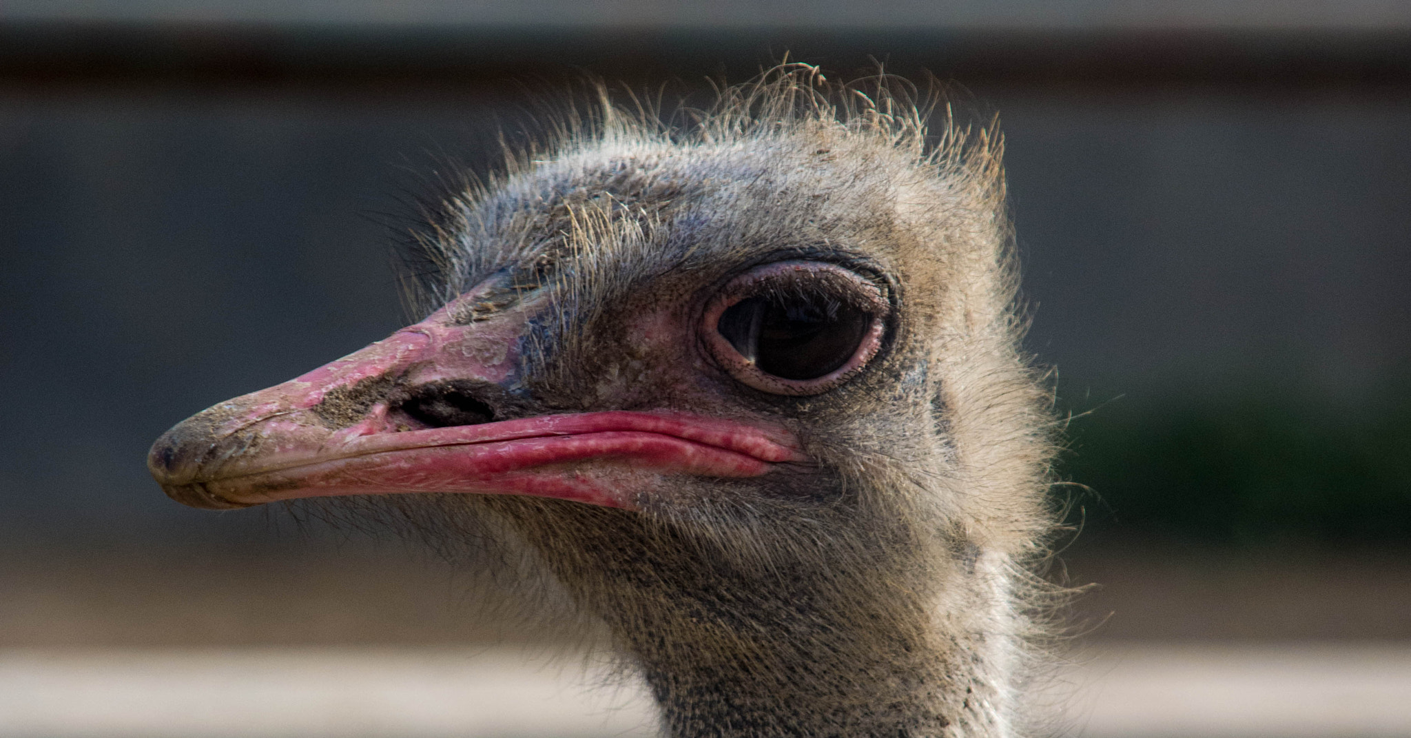 Nikon D5200 + Sigma 18-200mm F3.5-6.3 DC sample photo