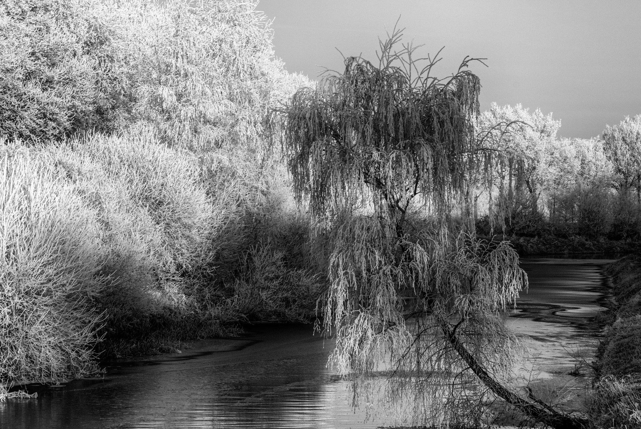 Pentax K10D sample photo. Dutch landscape photography