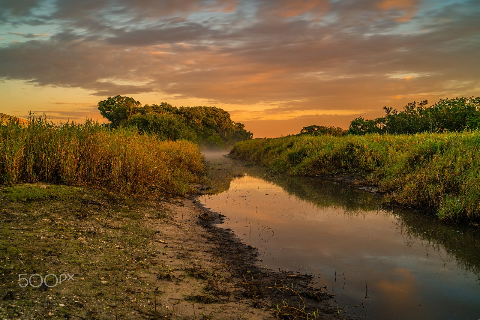 Sony a7R II + E 35mm F2 sample photo. Watch out for snakes & gators photography