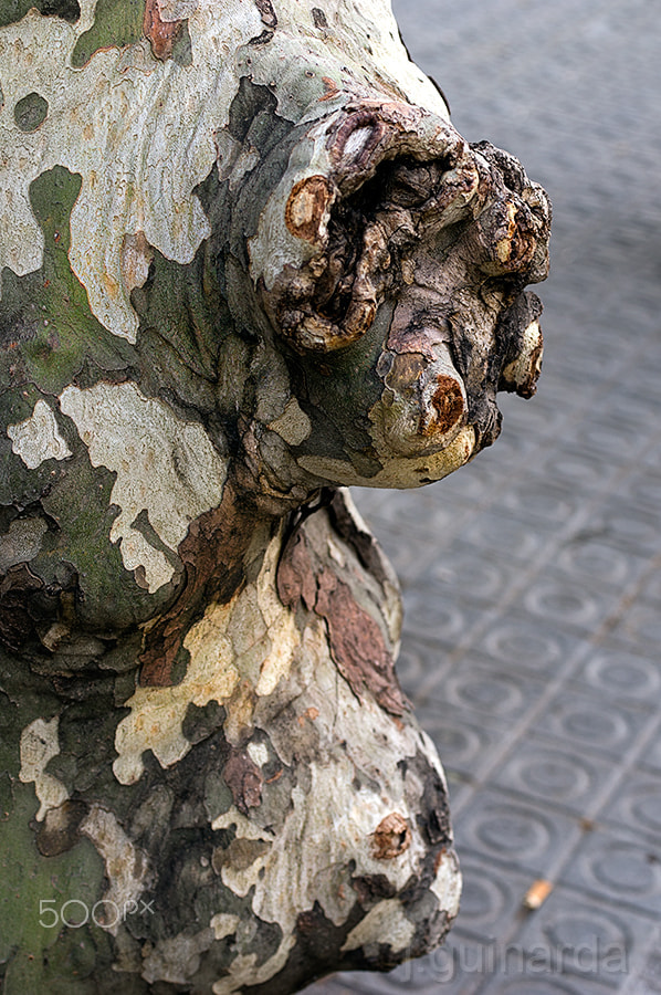 Pentax smc D-FA 50mm F2.8 Macro sample photo. Urbana, molt urbana -154070 photography
