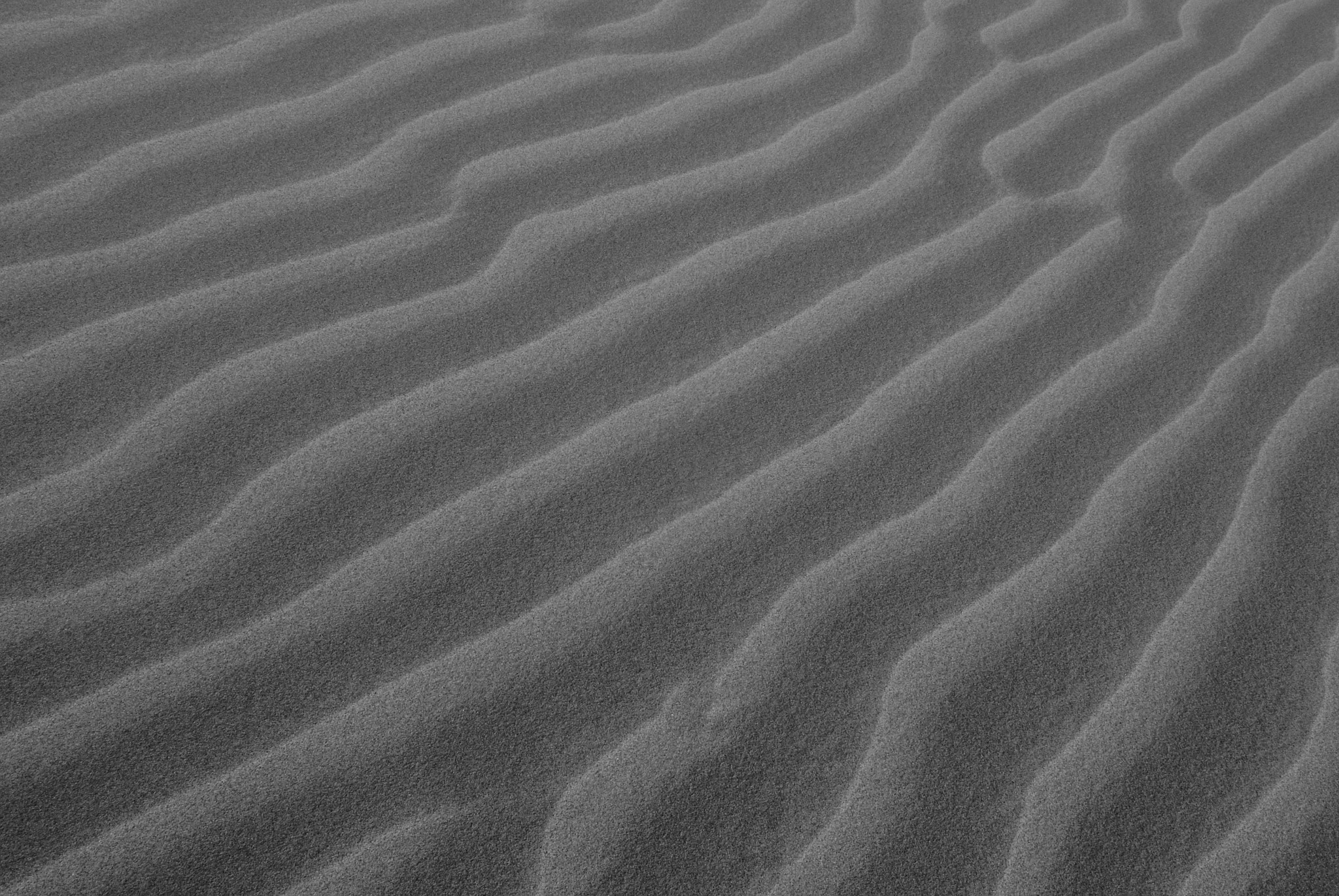 Pentax K200D + Sigma sample photo. Texture photography