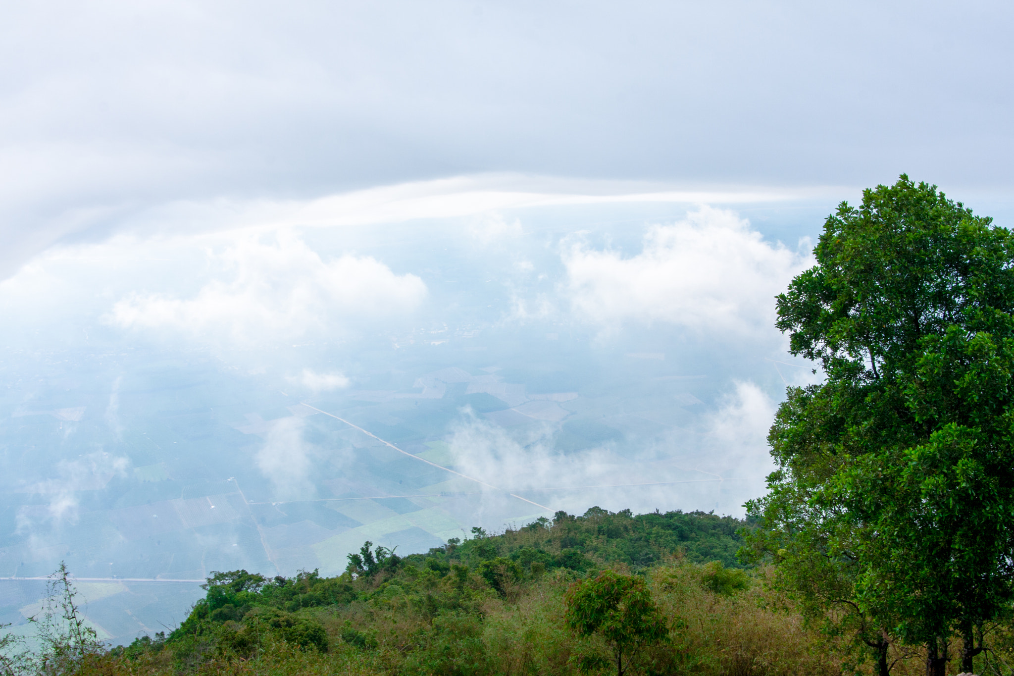 Canon EOS 40D sample photo. Edit photography