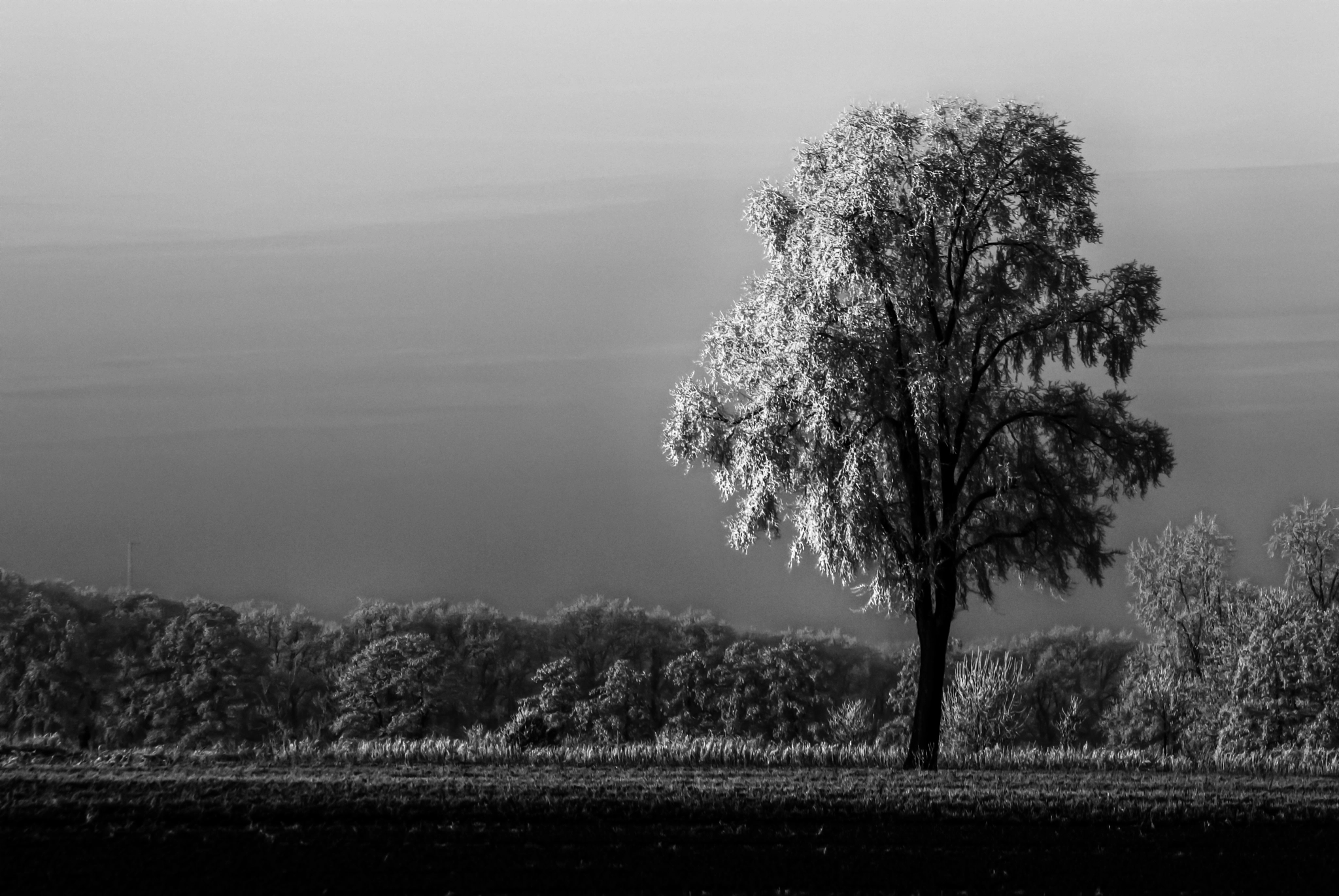 Tamron AF 70-300mm F4-5.6 Di LD Macro sample photo. Dutch landscapes photography