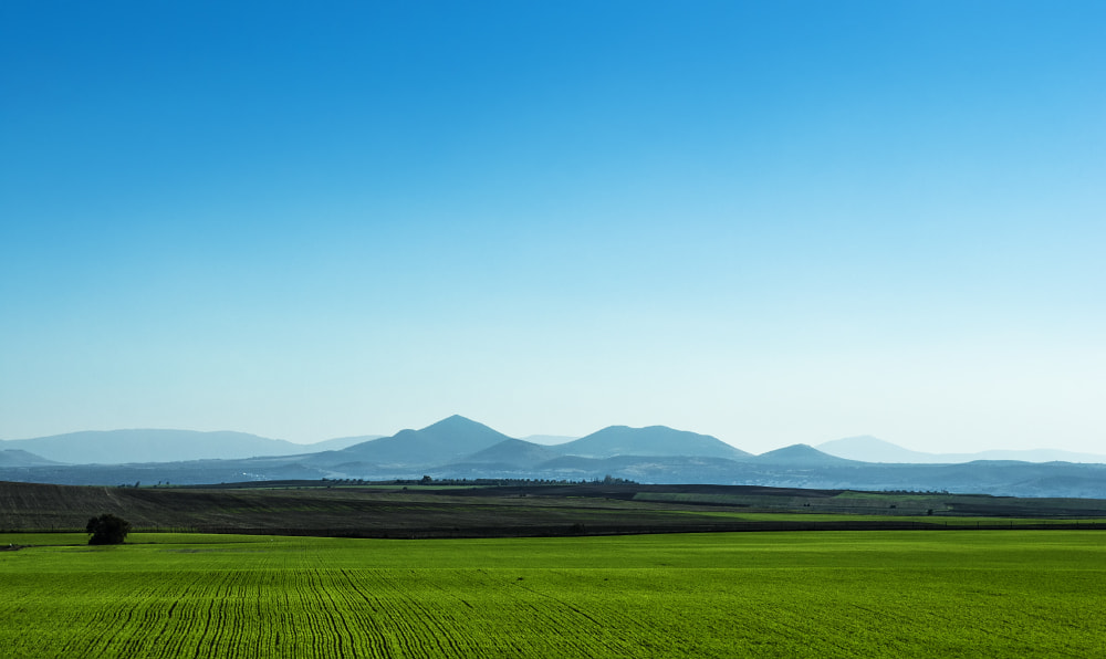 AF Zoom-Nikkor 28-85mm f/3.5-4.5 sample photo. Horizon photography