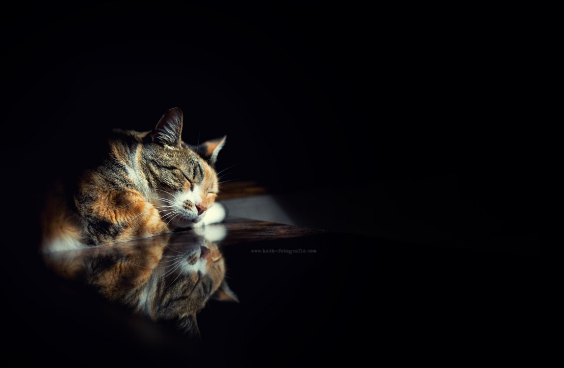 best place for a little break