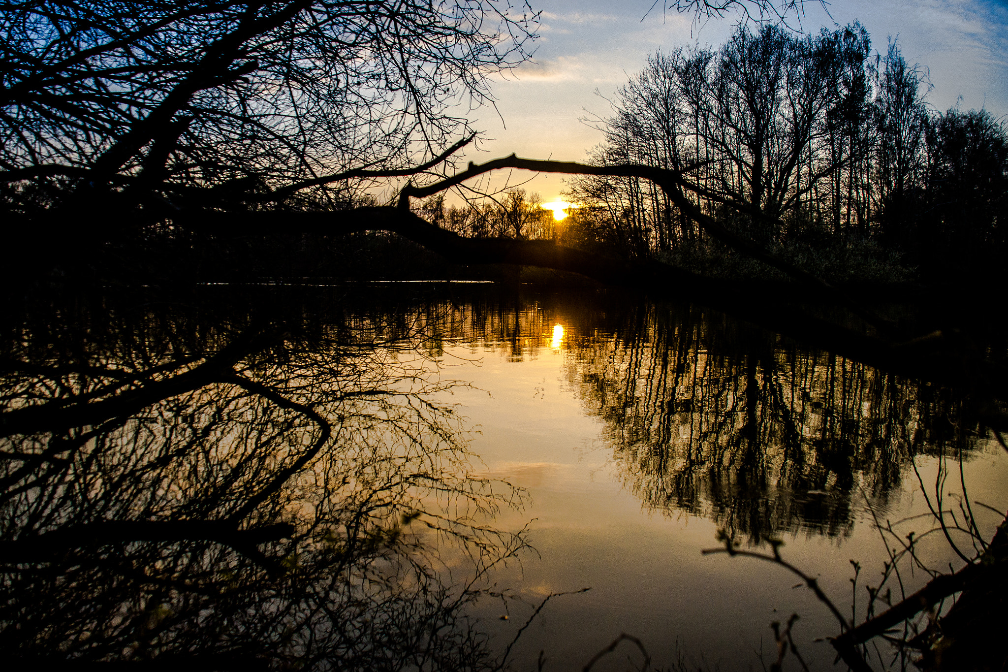 Nikon D3100 + Tamron AF 18-270mm F3.5-6.3 Di II VC LD Aspherical (IF) MACRO sample photo. A beautiful evening photography