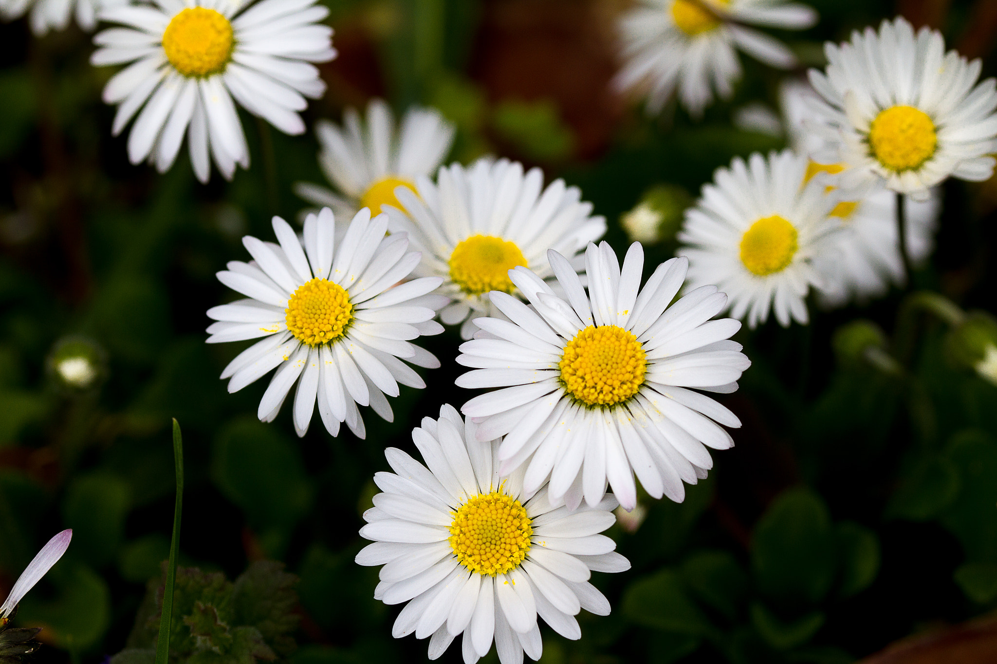 v2?sig=8ede1254c4ff3f0e8af41dc3c5925a9c425842a0151377e2f076822240e0423f