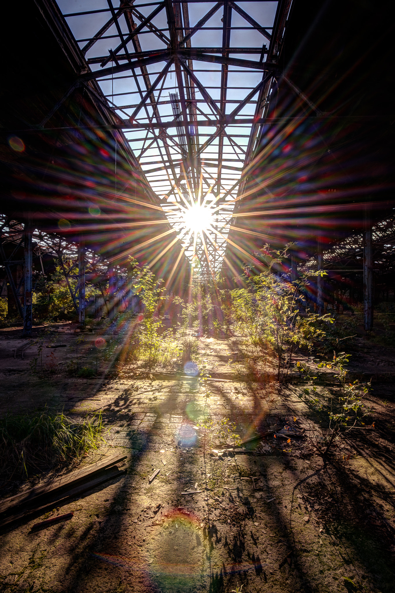 Sony a7 II + Canon EF 16-35mm F4L IS USM sample photo. L.o.s.t photography