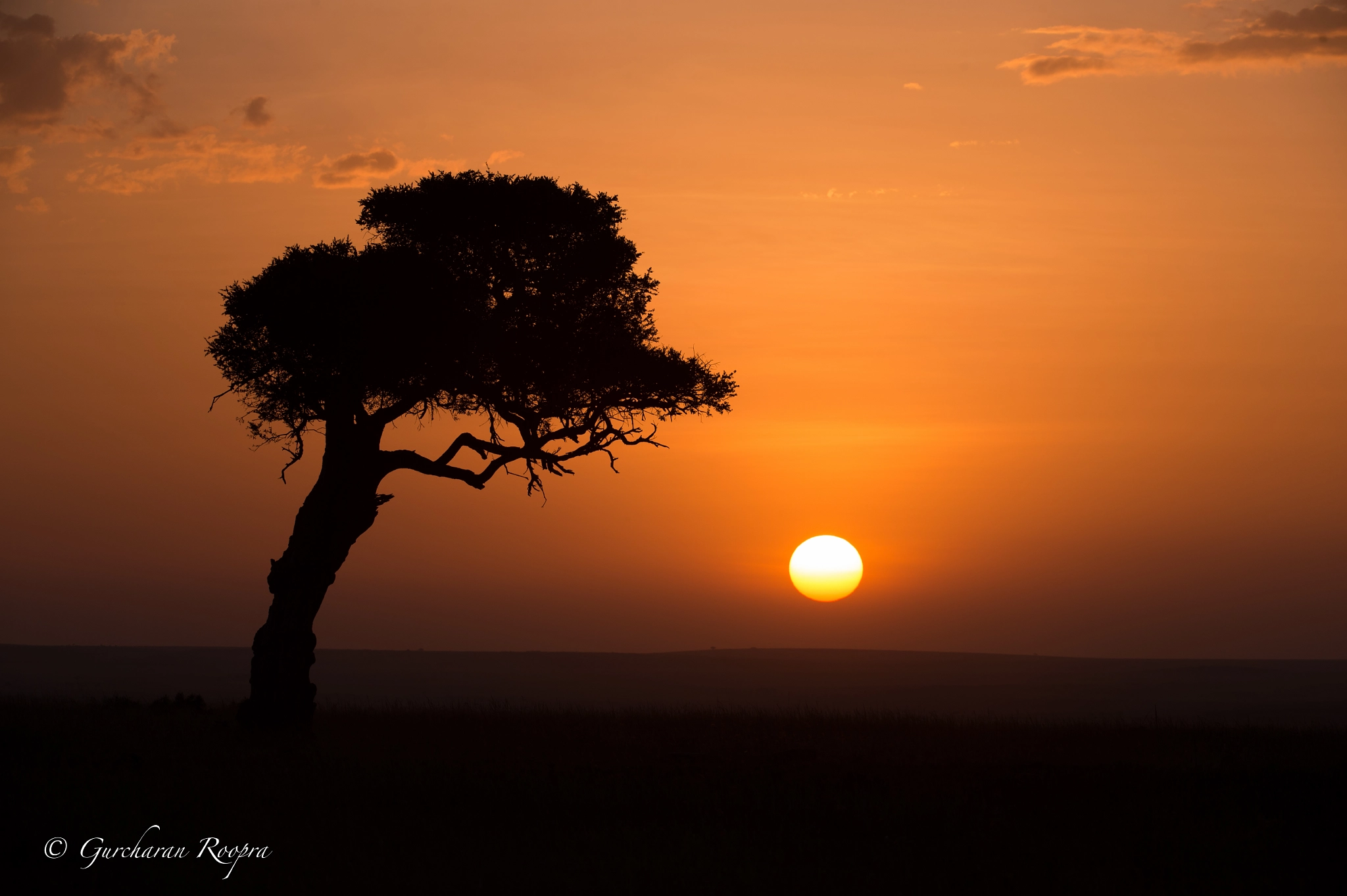 Nikon D4S sample photo. Mara sunset photography