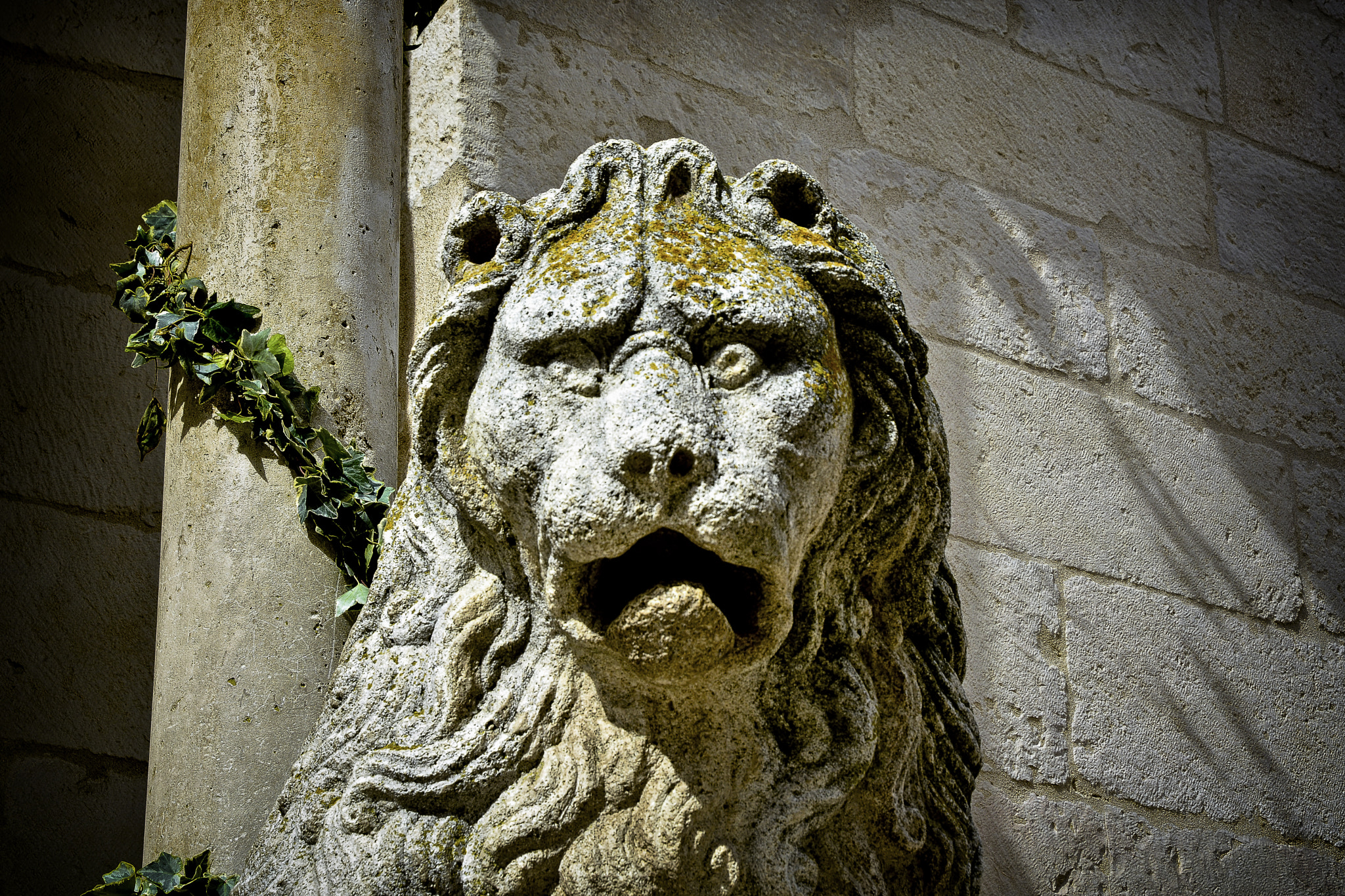 Nikon D7100 + AF Zoom-Nikkor 80-200mm f/4.5-5.6D sample photo. Leone della cattedrale photography