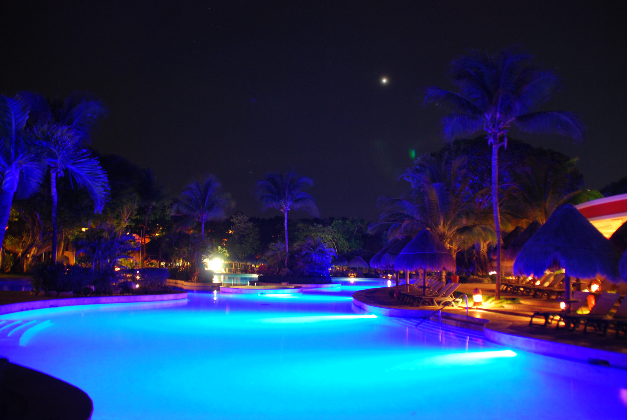 Nikon D40X sample photo. The blue photography