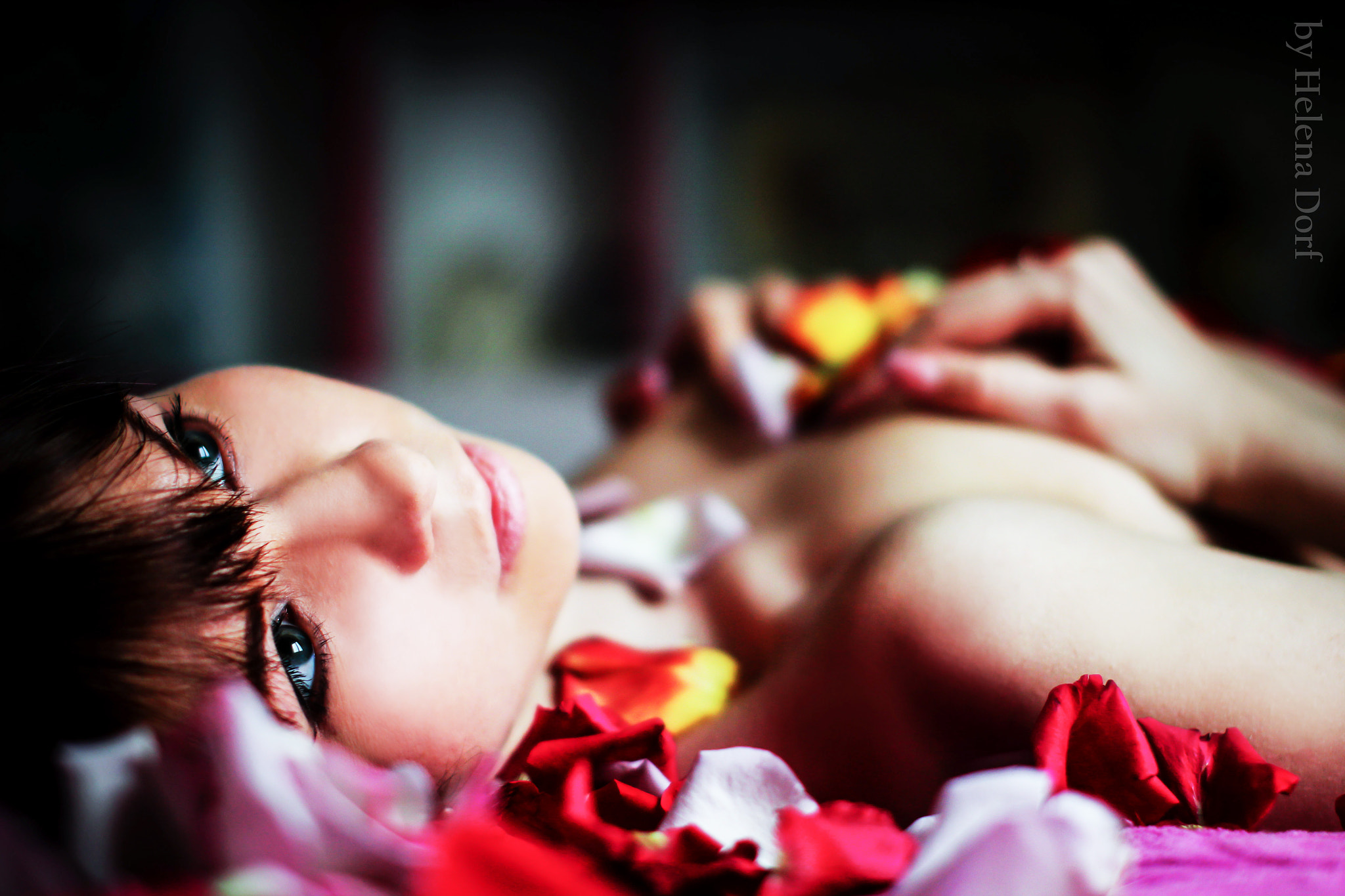 Sigma 50mm F1.4 EX DG HSM sample photo. Ph photography