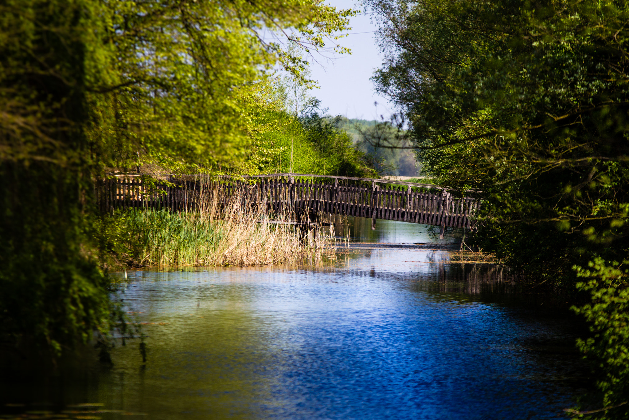 Sigma 70-200mm F2.8 EX DG OS HSM sample photo. Wooden bridge photography