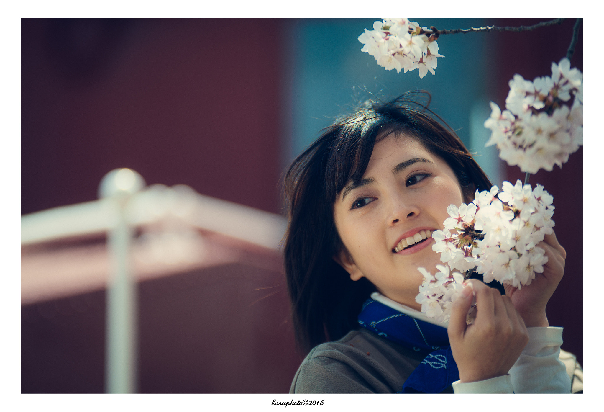 Sigma 120-300mm F2.8 EX DG HSM sample photo. Spring color photography
