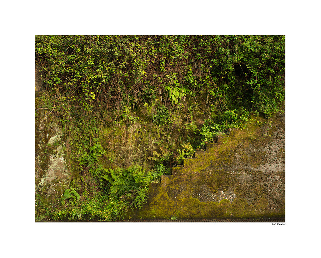 Olympus OM-D E-M5 + Sigma 30mm F2.8 EX DN sample photo. Como la vida misma.... photography