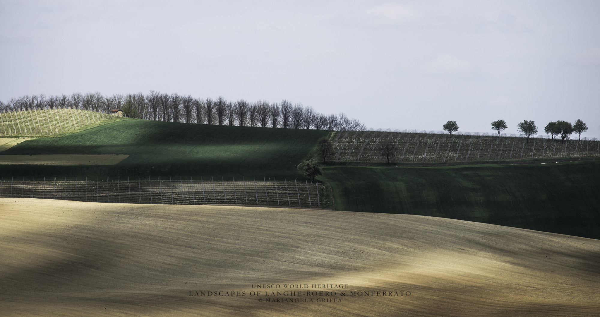 Nikon Nikkor AF-S 300mm F4E PF ED VR sample photo. Unesco world heritage monferrato photography