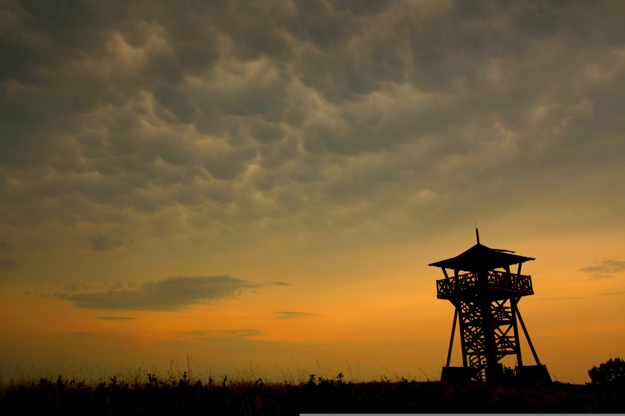 Canon EF-S 10-18mm F4.5–5.6 IS STM sample photo. Peace before a disturbance photography