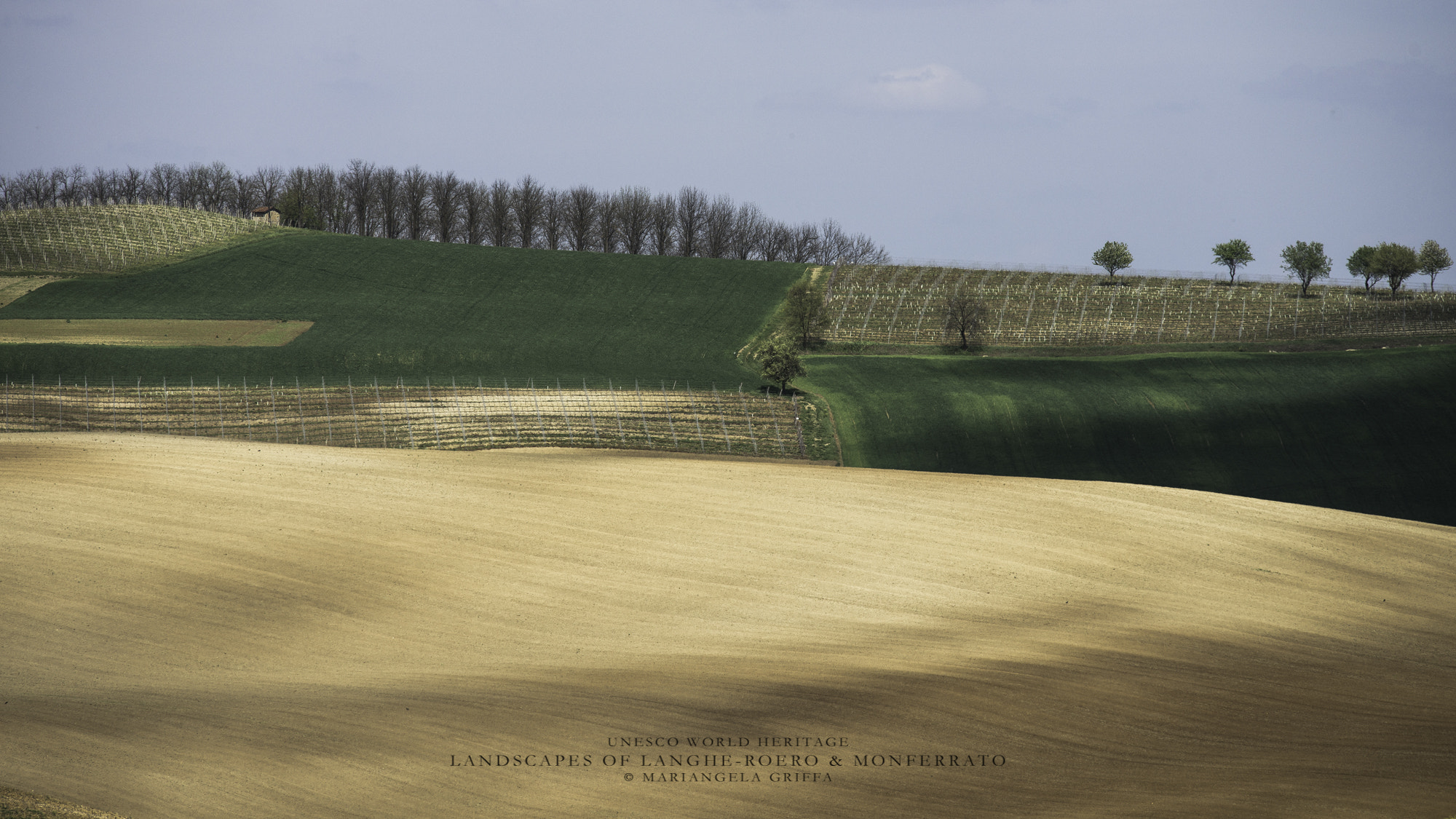 Nikon Nikkor AF-S 300mm F4E PF ED VR sample photo. Unesco world heritage monferrato photography