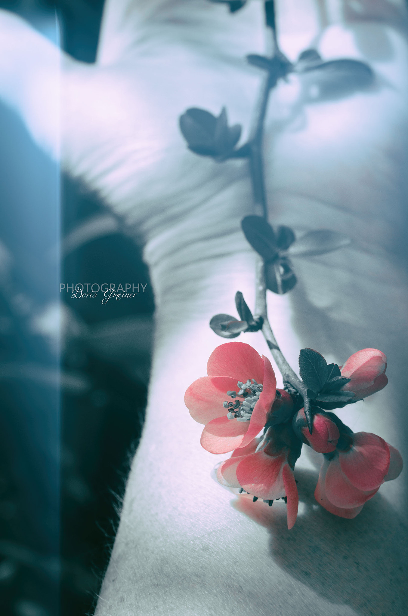 Nikon AF-S Micro-Nikkor 60mm F2.8G ED sample photo. Spring give me your hand photography