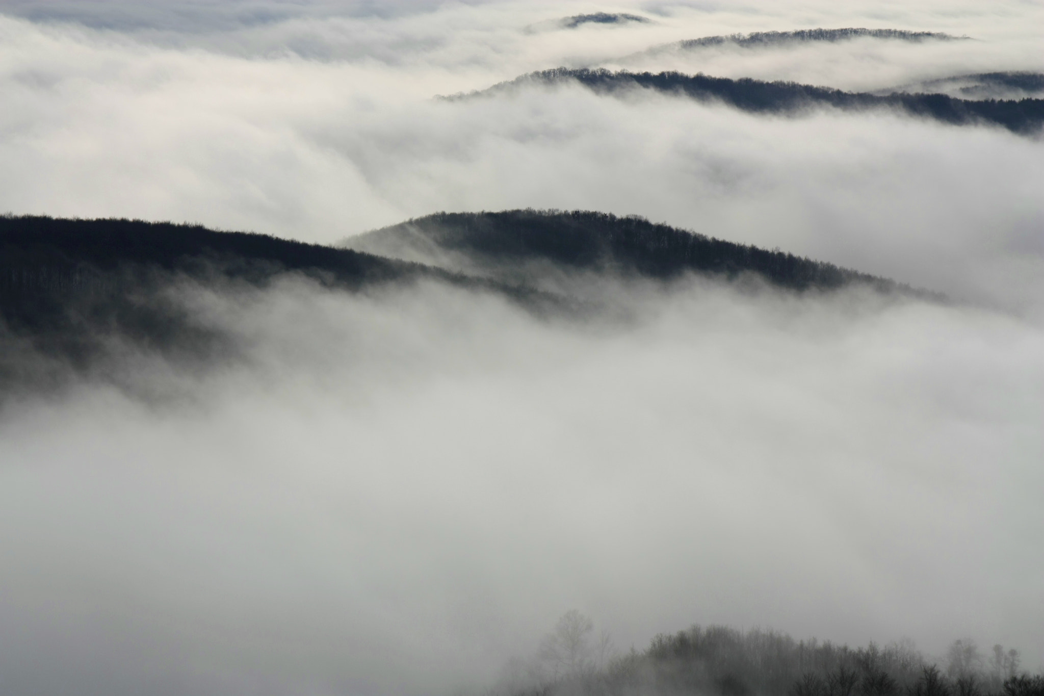 Canon EOS 450D (EOS Rebel XSi / EOS Kiss X2) + Canon EF 500mm F4L IS USM sample photo. Above the clouds photography