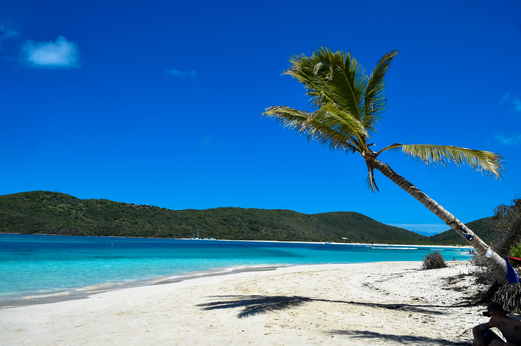 Nikon D4S sample photo. Flamenco beach photography
