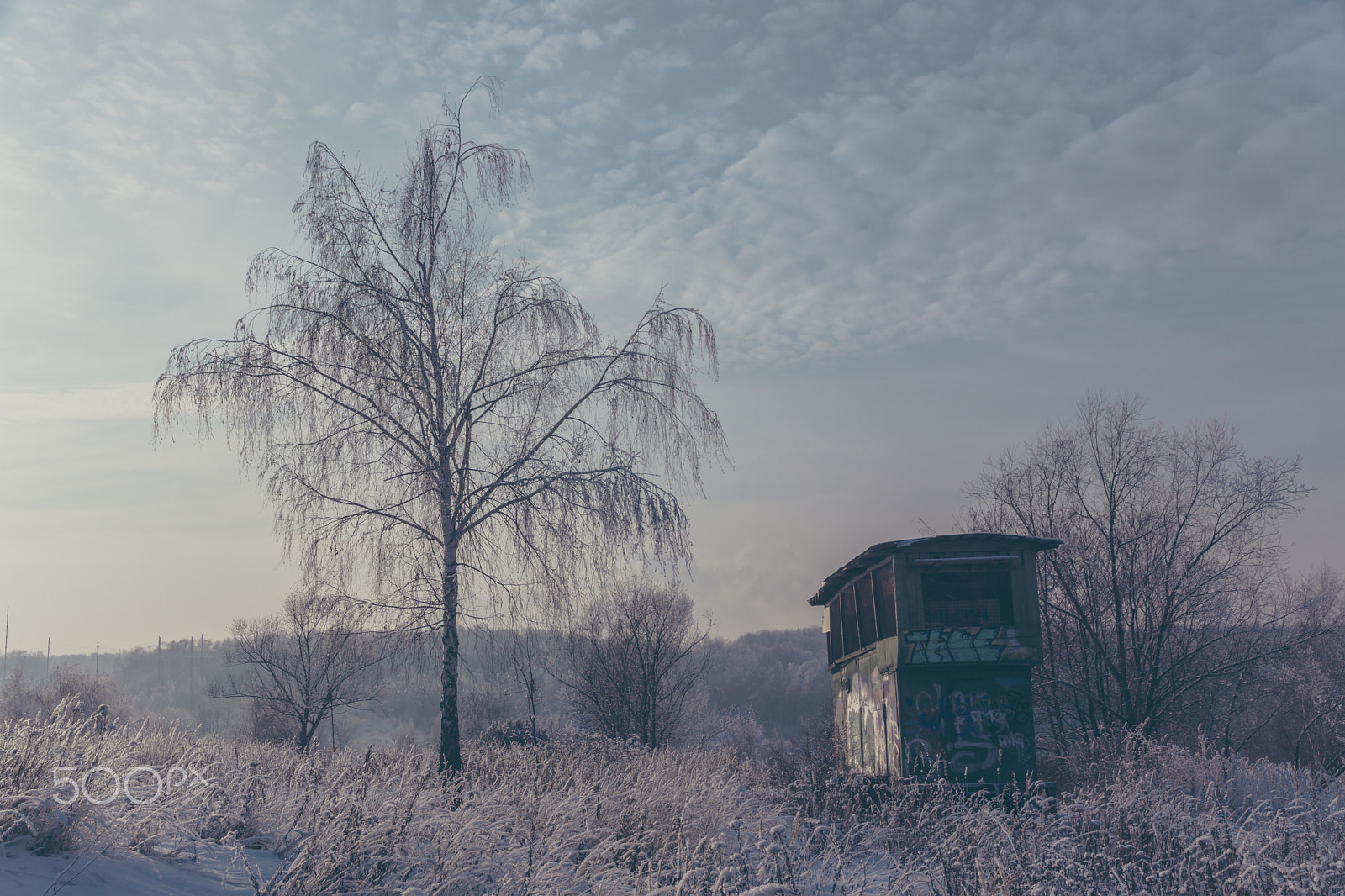 Sony SLT-A65 (SLT-A65V) sample photo. Winter in my heart photography