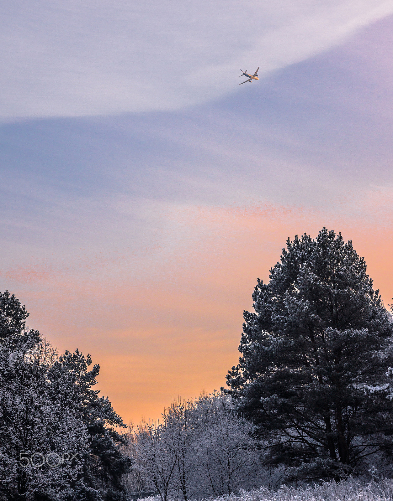 Sony SLT-A65 (SLT-A65V) sample photo. Winter in my heart photography