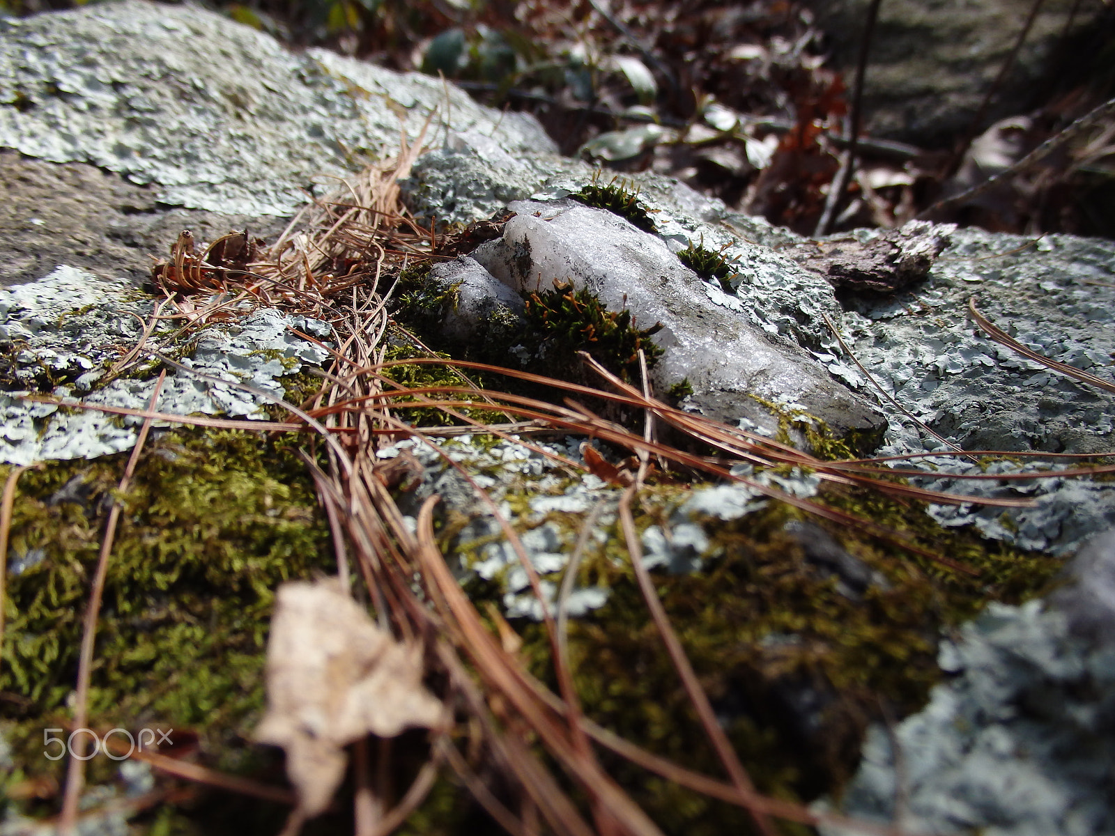 Olympus SH-60 sample photo. A "diamond" in the rough photography