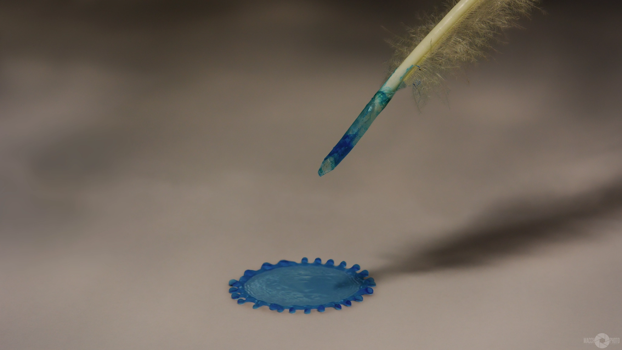 Nikon AF-S Micro-Nikkor 60mm F2.8G ED sample photo. Blue tear photography