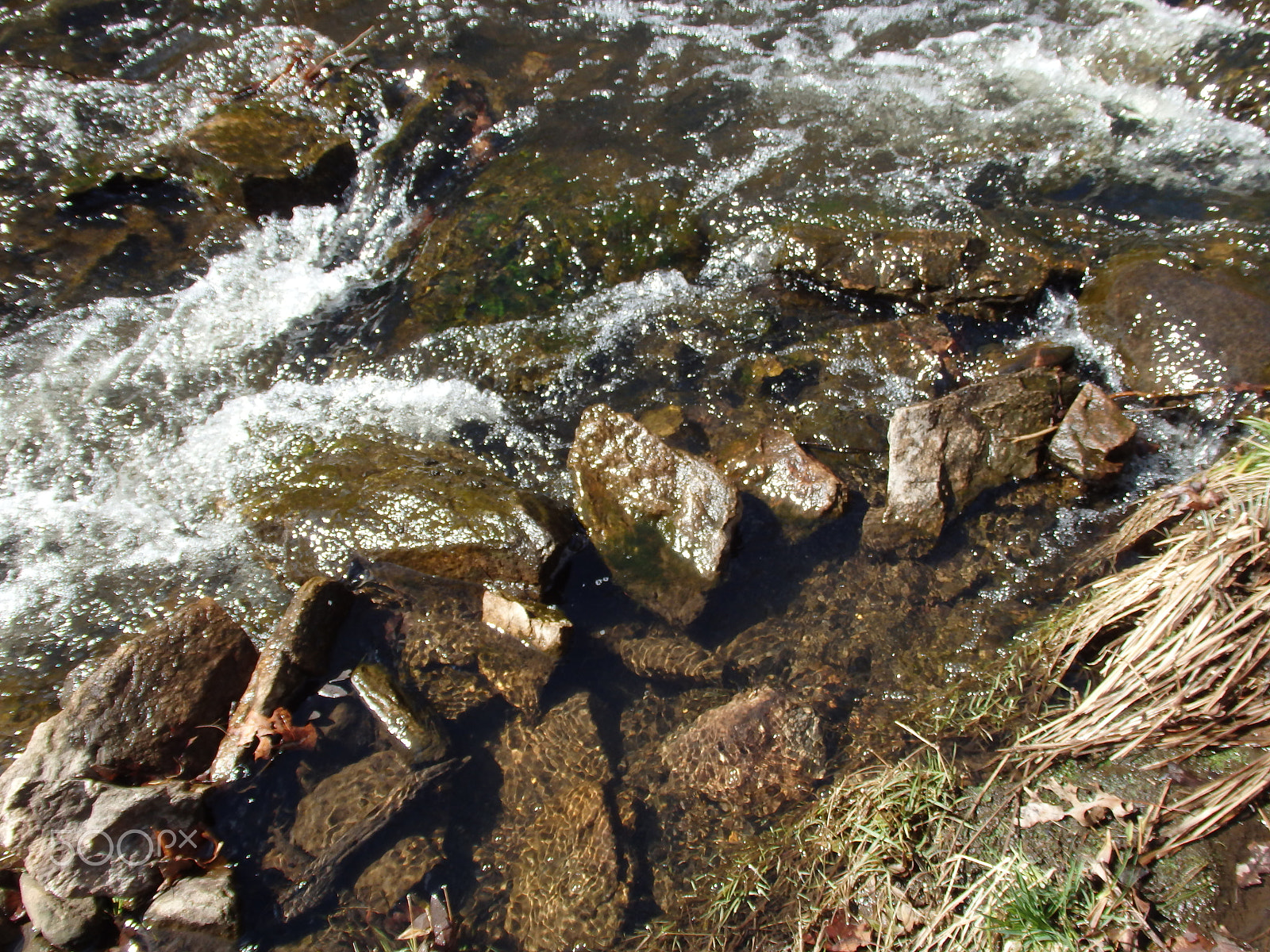 Olympus SH-60 sample photo. Blackstone gorge 4 photography