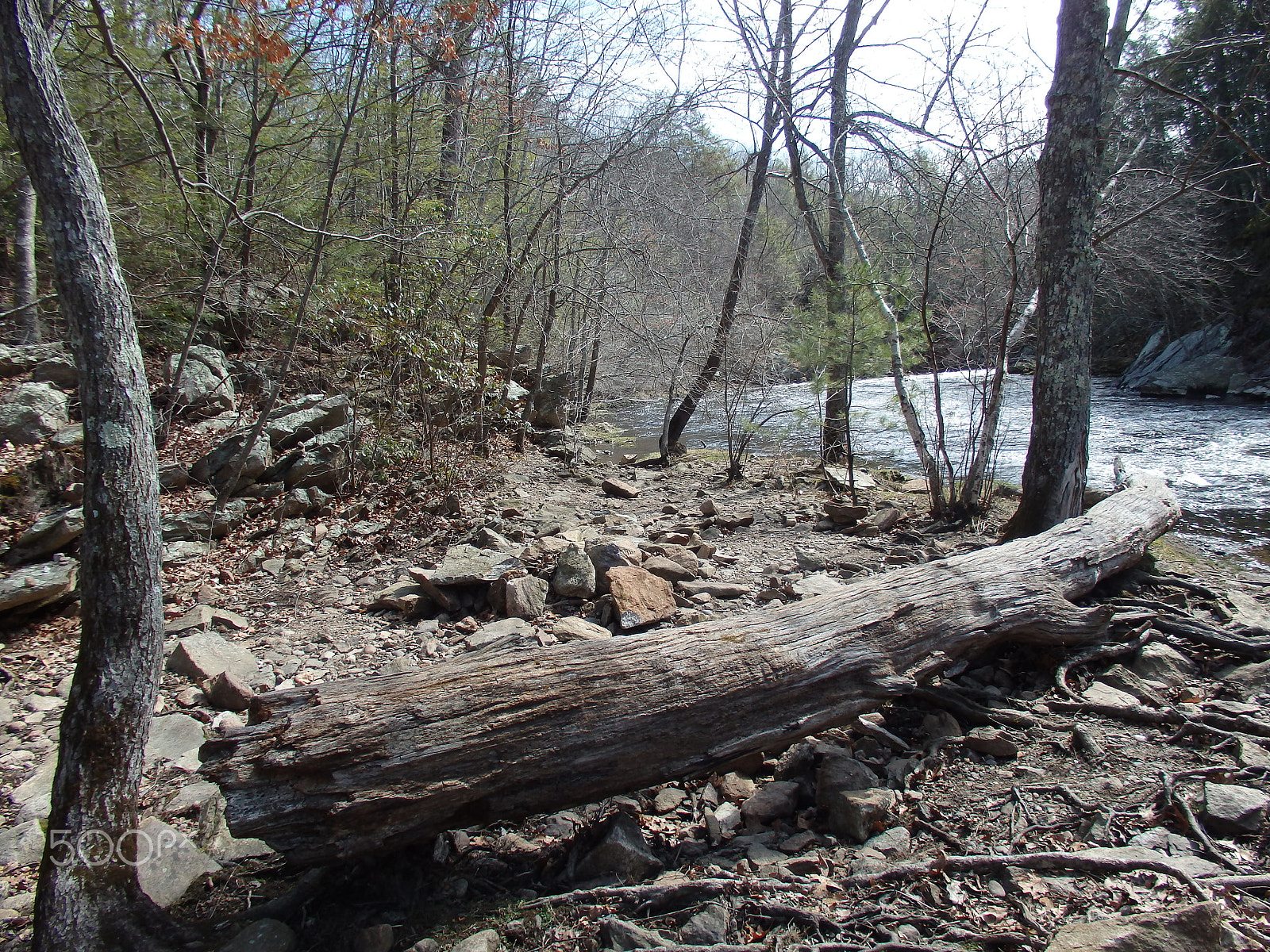 Olympus SH-60 sample photo. Mildly dramatic log photography