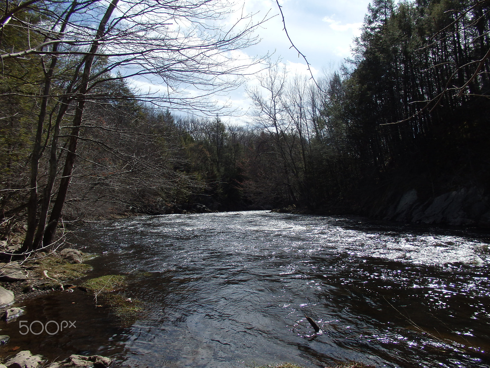 Olympus SH-60 sample photo. Blackstone gorge 5 photography