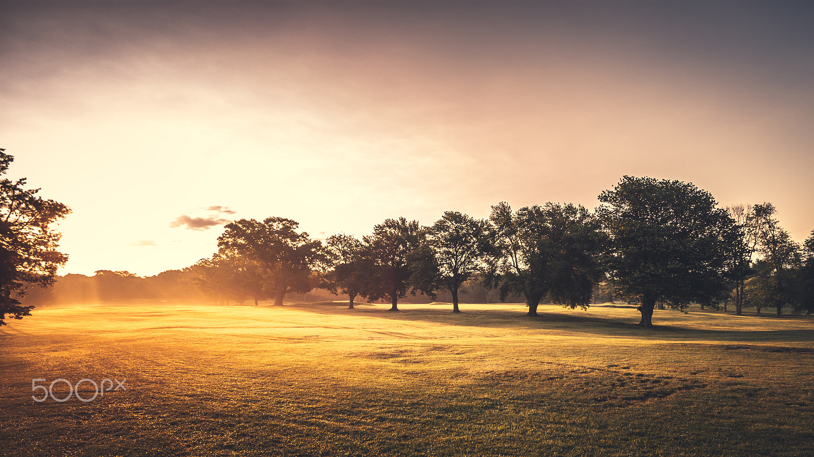 Sigma 10-20mm F3.5 EX DC HSM sample photo. Foggy sunrise @ golf course photography