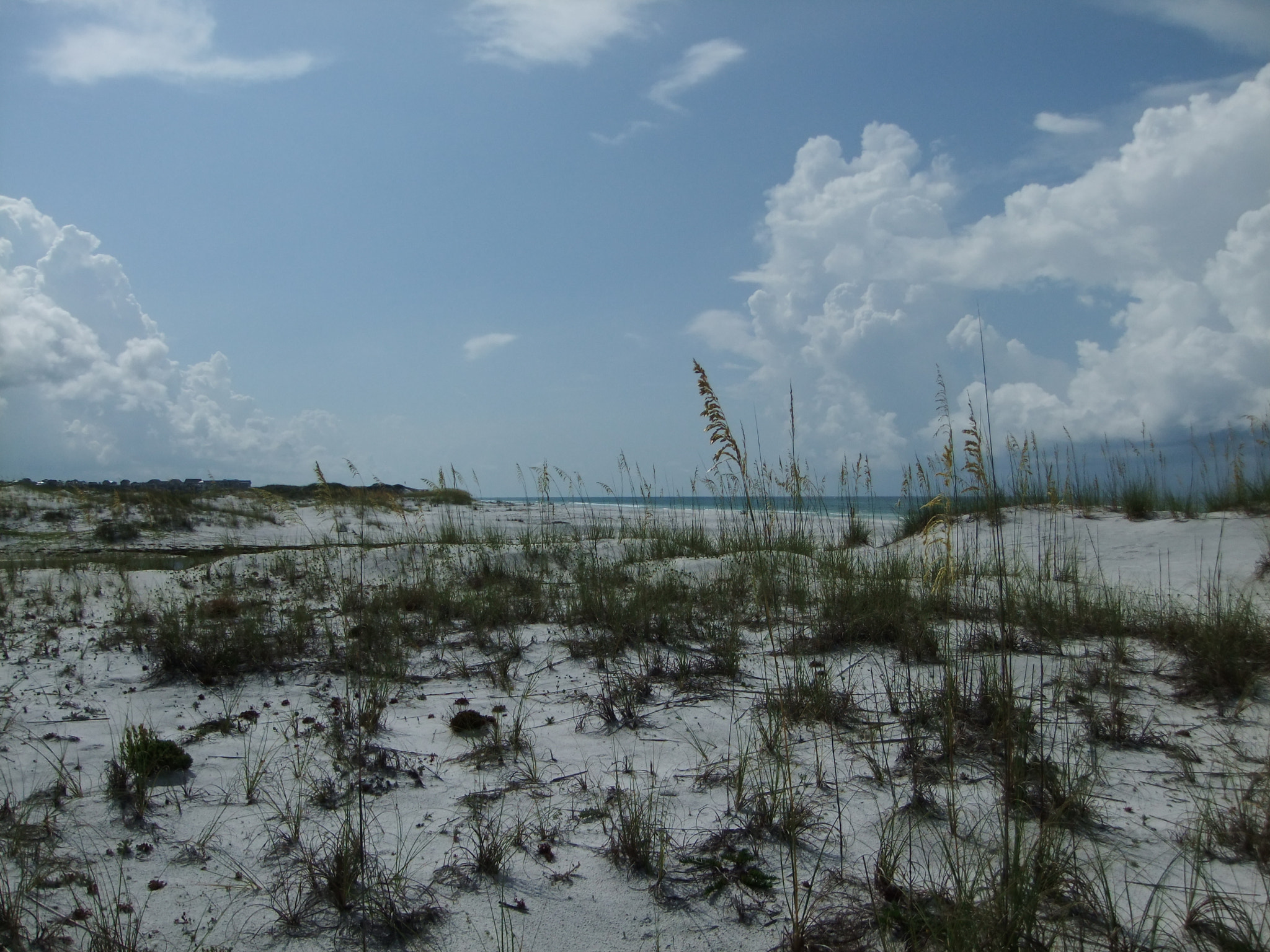 FujiFilm FinePix F70EXR (FinePix F75EXR) sample photo. Hidden in the dunes photography