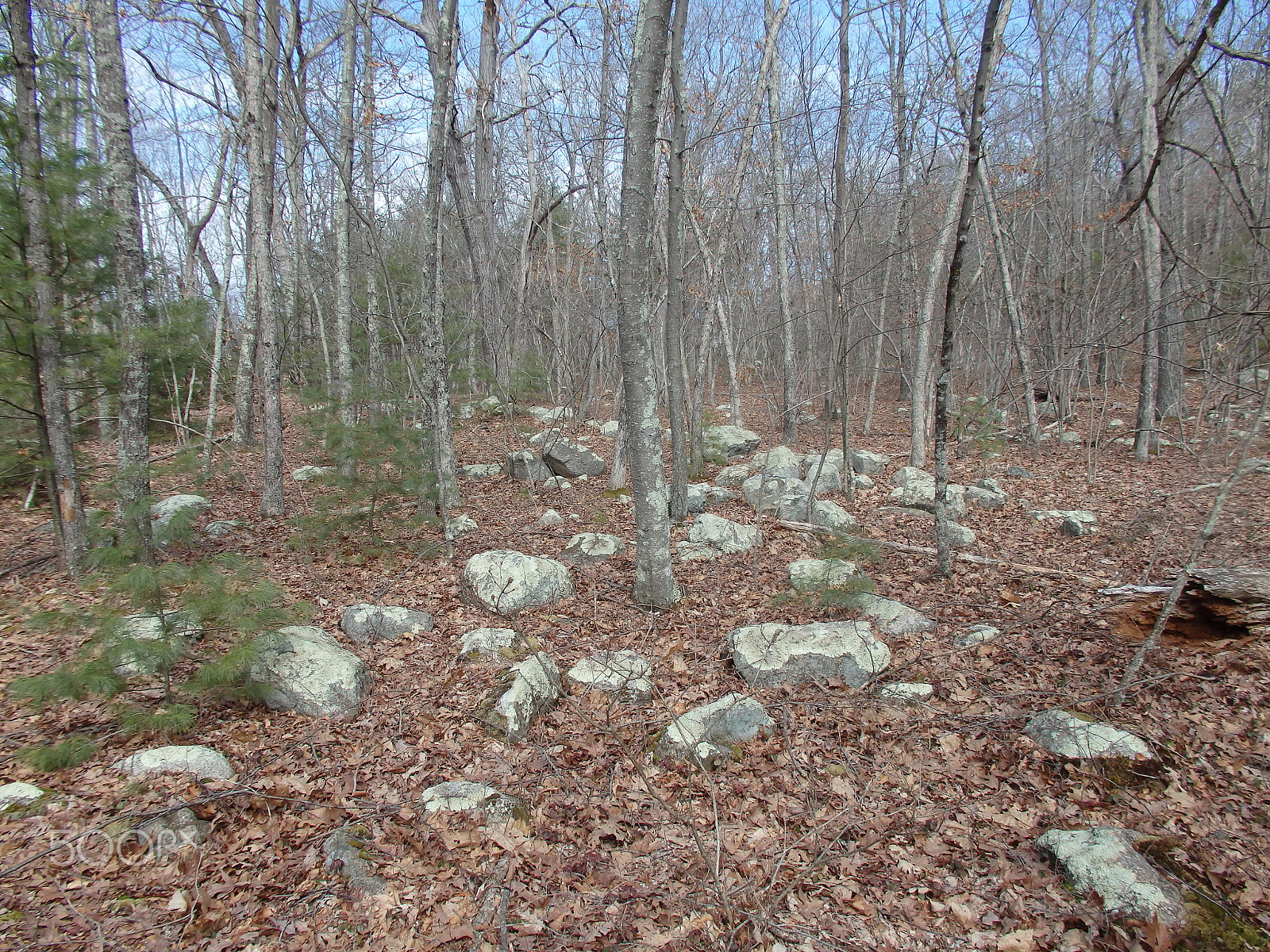 Olympus SH-60 sample photo. The stones photography