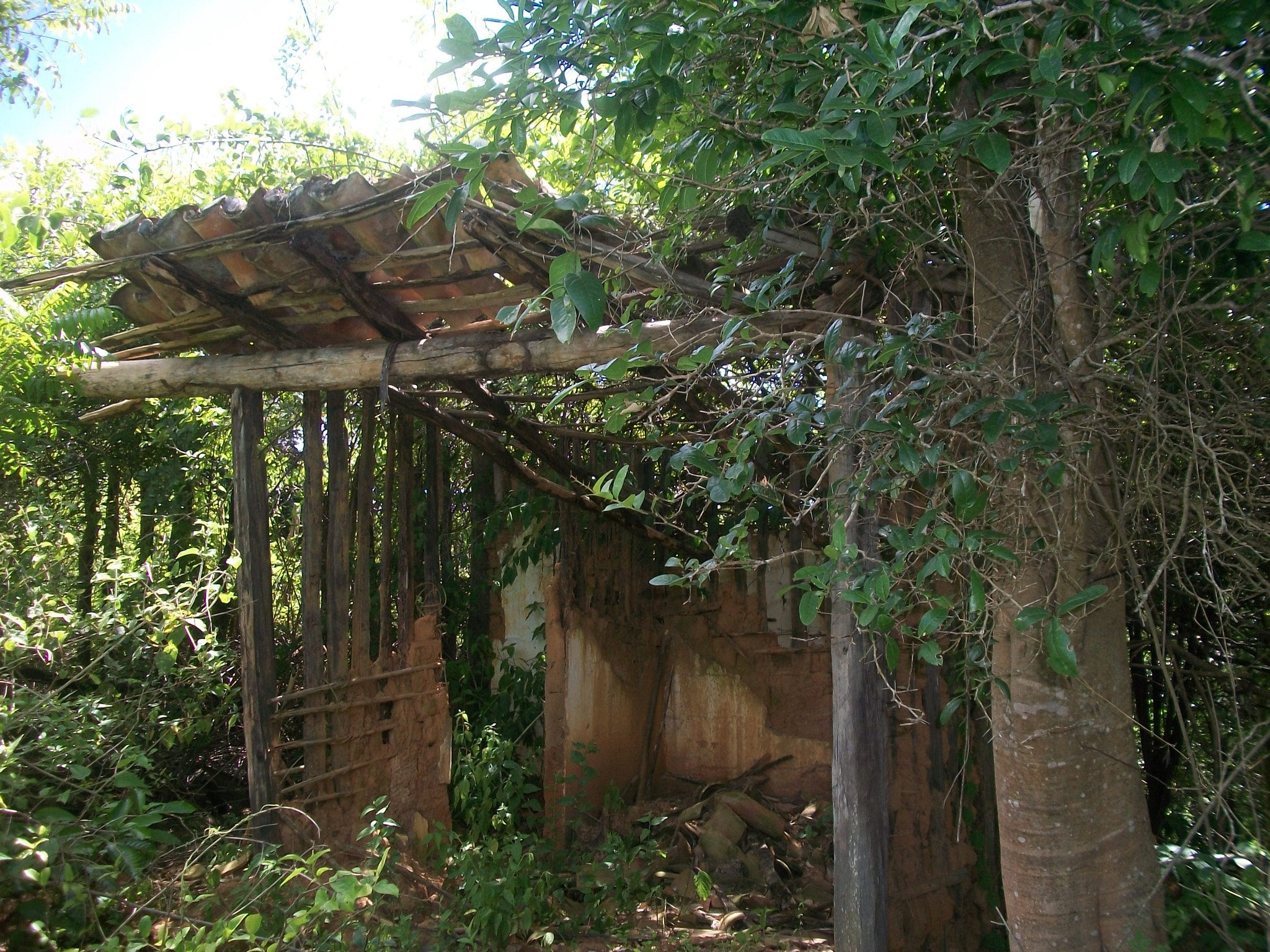 Kodak EASYSHARE C180 DIGITAL CAMERA sample photo. Cabana abandonada photography