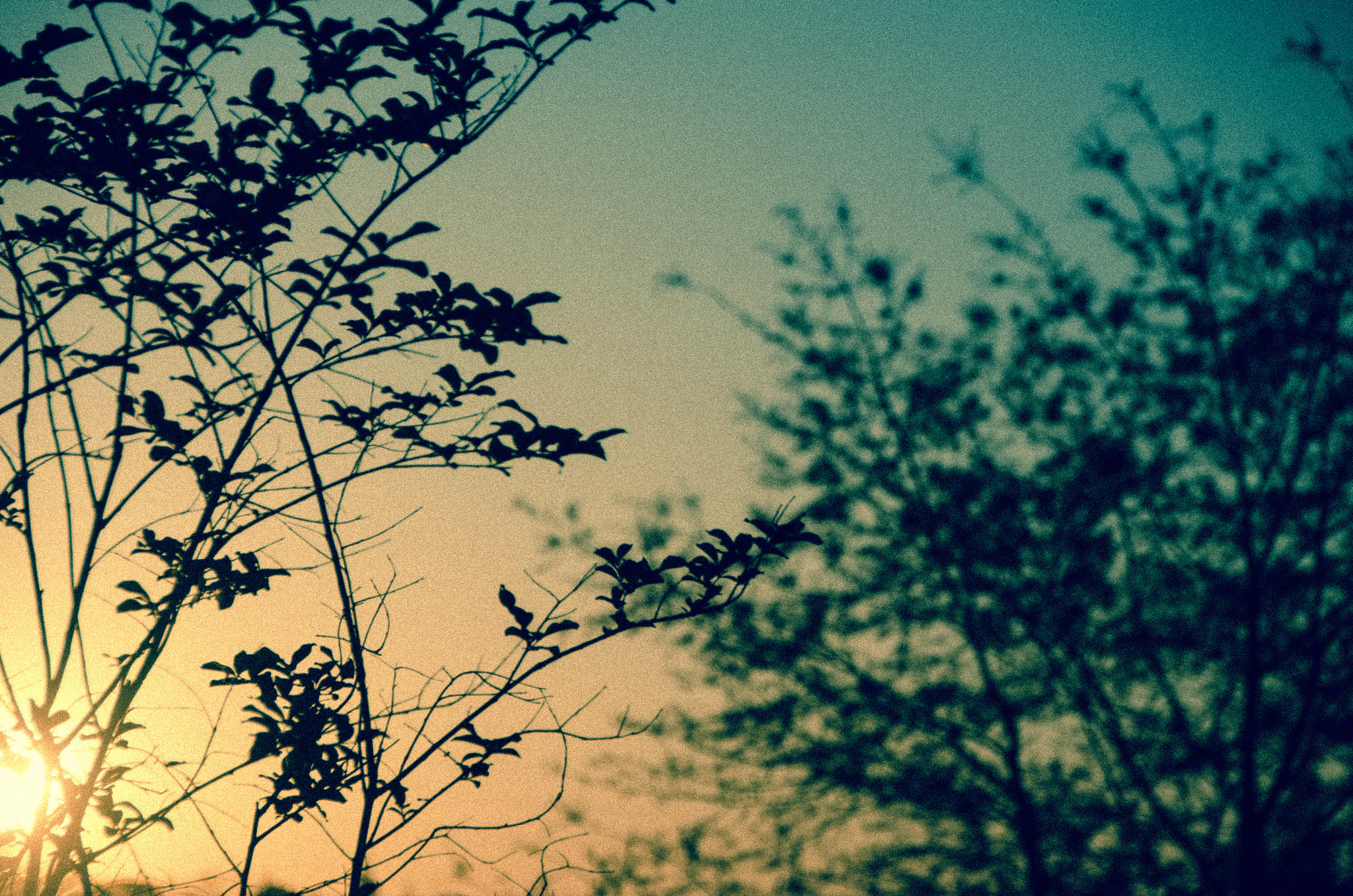 Nikon D5100 + Nikon PC-E Nikkor 24mm F3.5D ED Tilt-Shift sample photo. Something blue and something old | 96/365+ photography