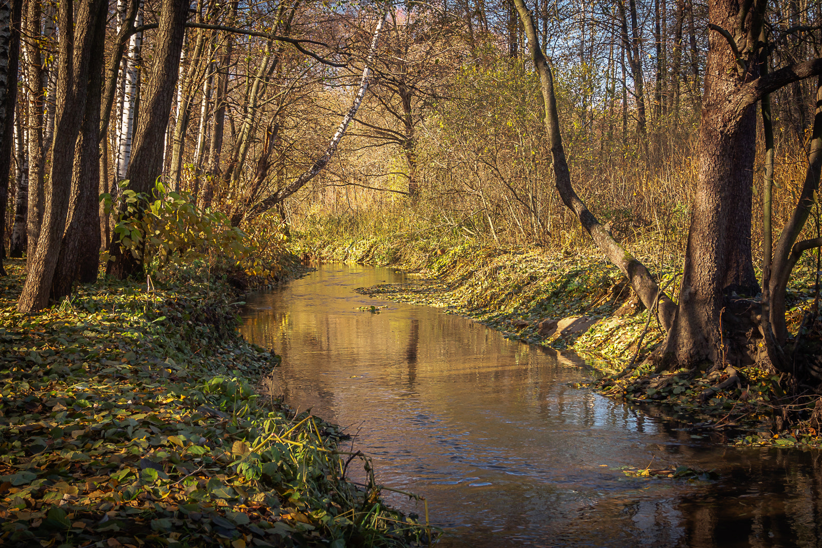 Olympus OM-D E-M10 + OLYMPUS M.12-50mm F3.5-6.3 sample photo. Evening on the river photography