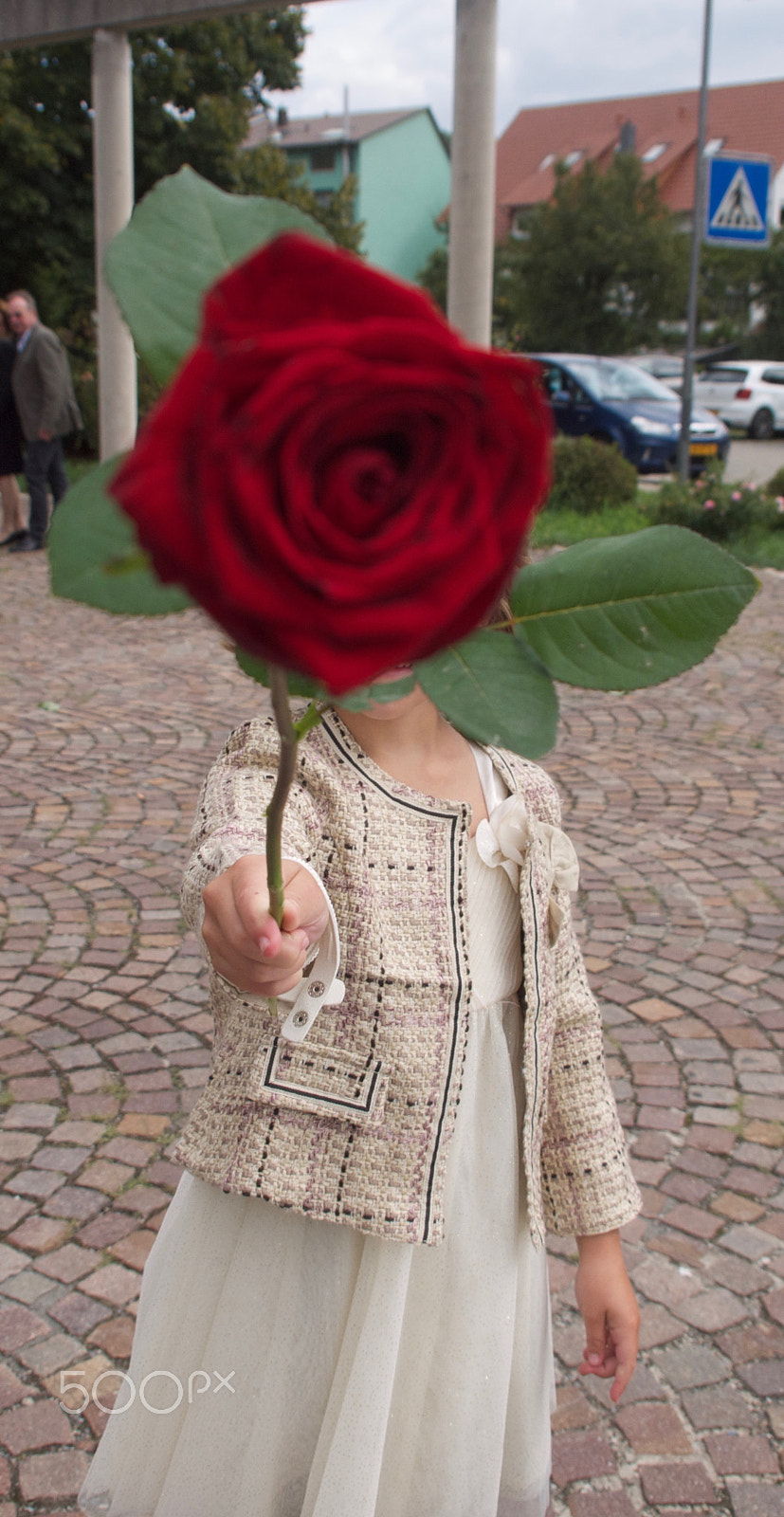 Panasonic Lumix DMC-G10 sample photo. The girl with the rose photography