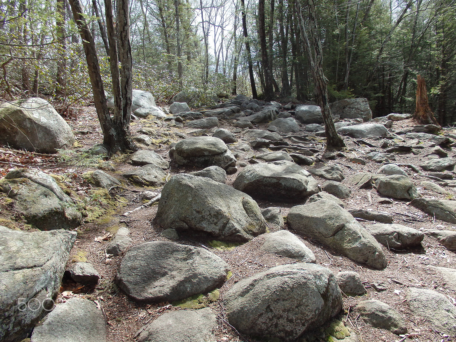 Olympus SH-60 sample photo. Rocky path photography