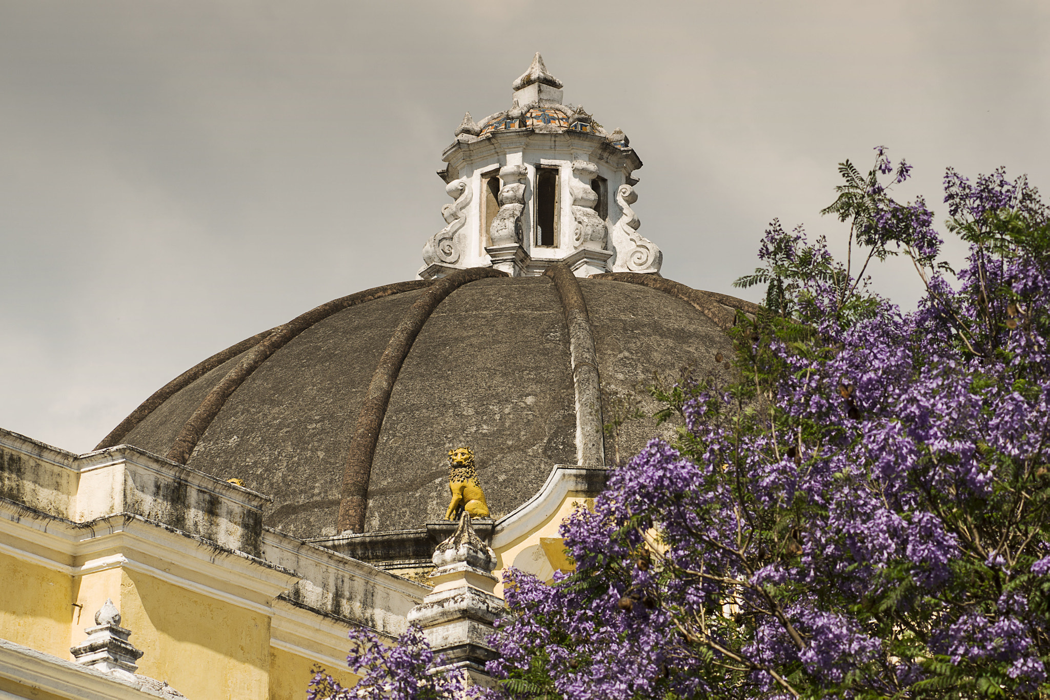 Nikon D7000 + AF Zoom-Nikkor 75-300mm f/4.5-5.6 sample photo. Cúpula photography