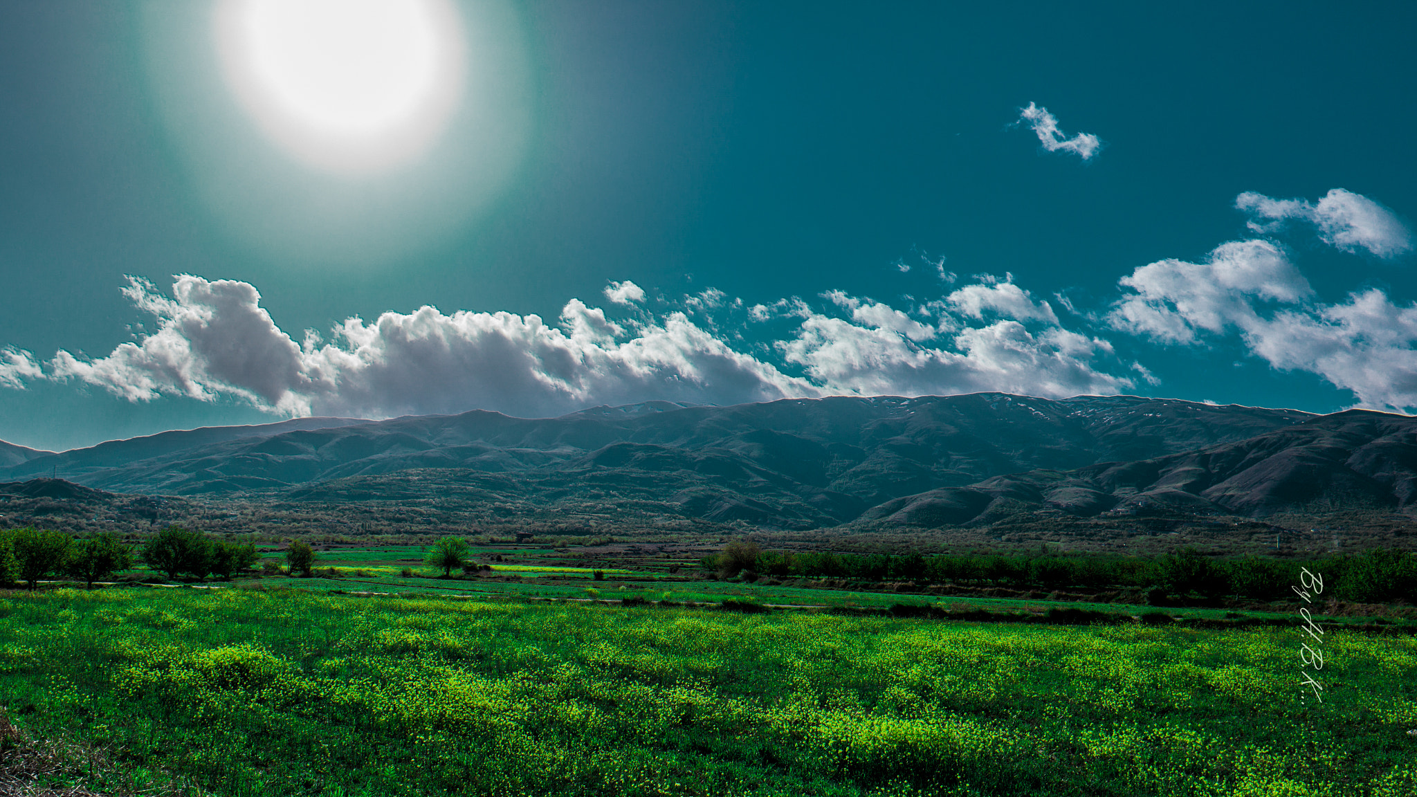 Samsung NX 16mm F2.4 Pancake sample photo. Green photography