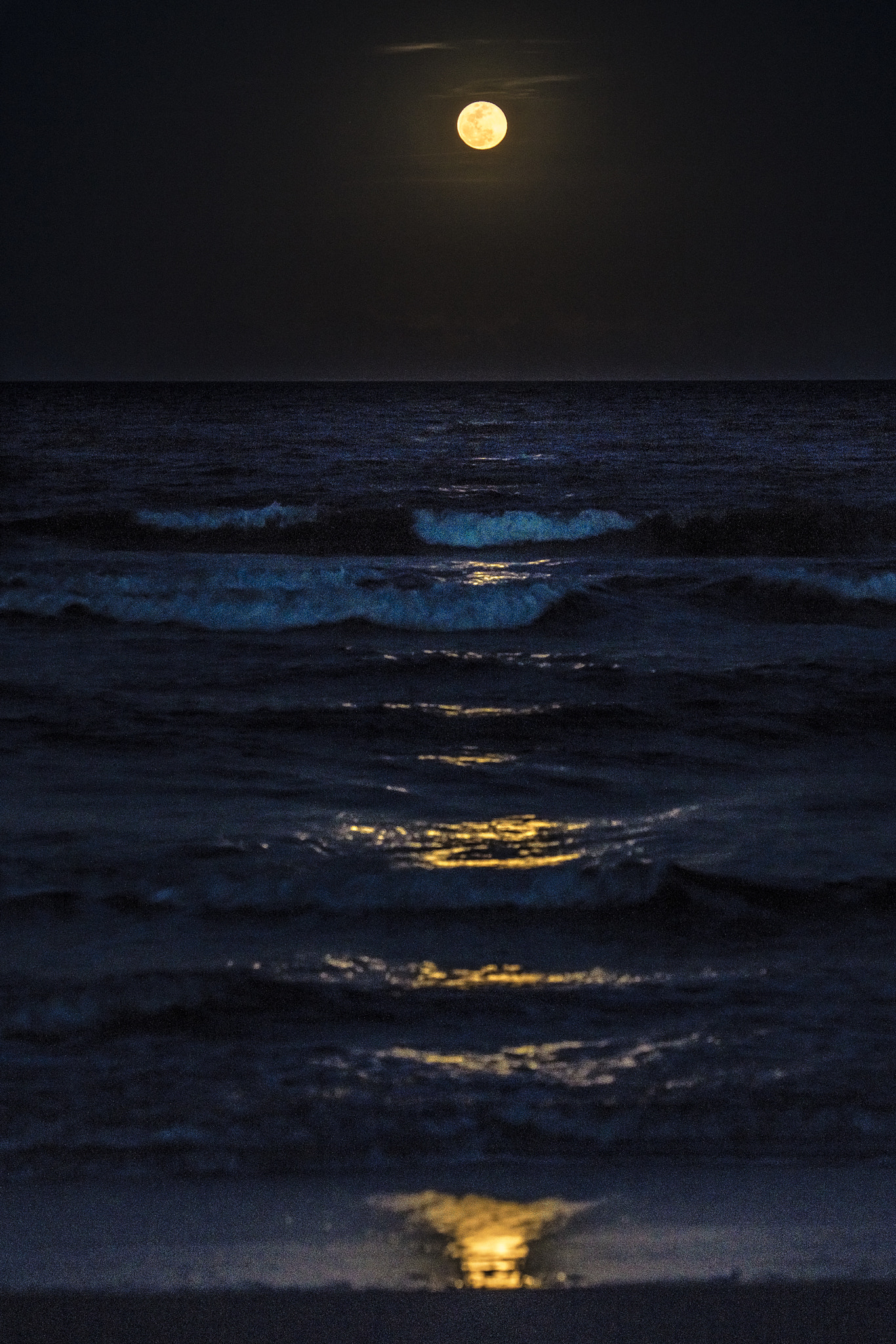 100-400mm F4.5-5.6 G SSM OSS sample photo. Blue mood photography