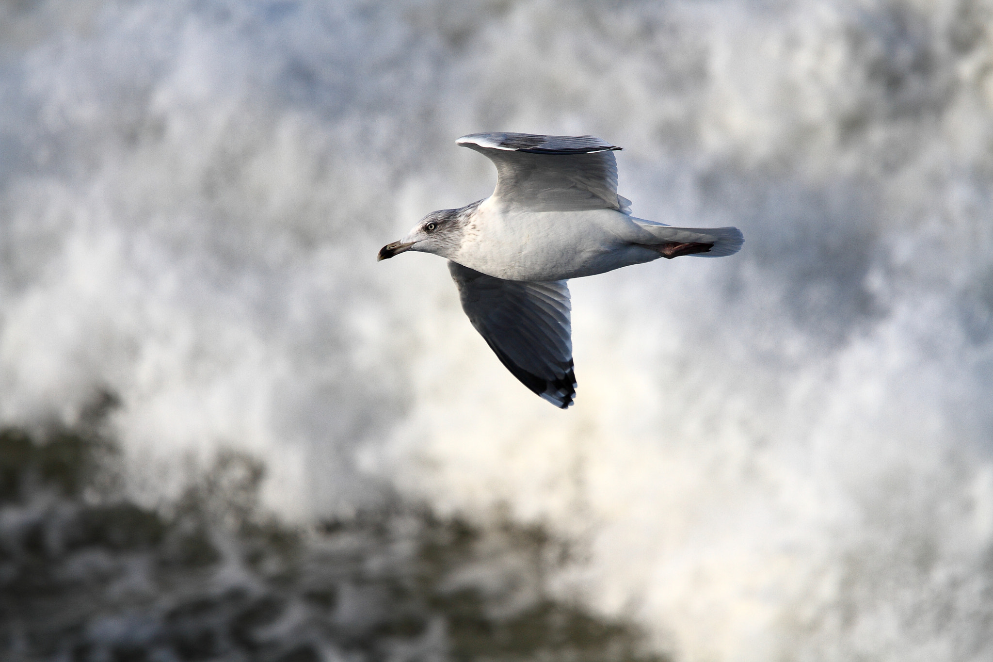 Canon EF 70-200mm F4L IS USM sample photo. Intangible photography